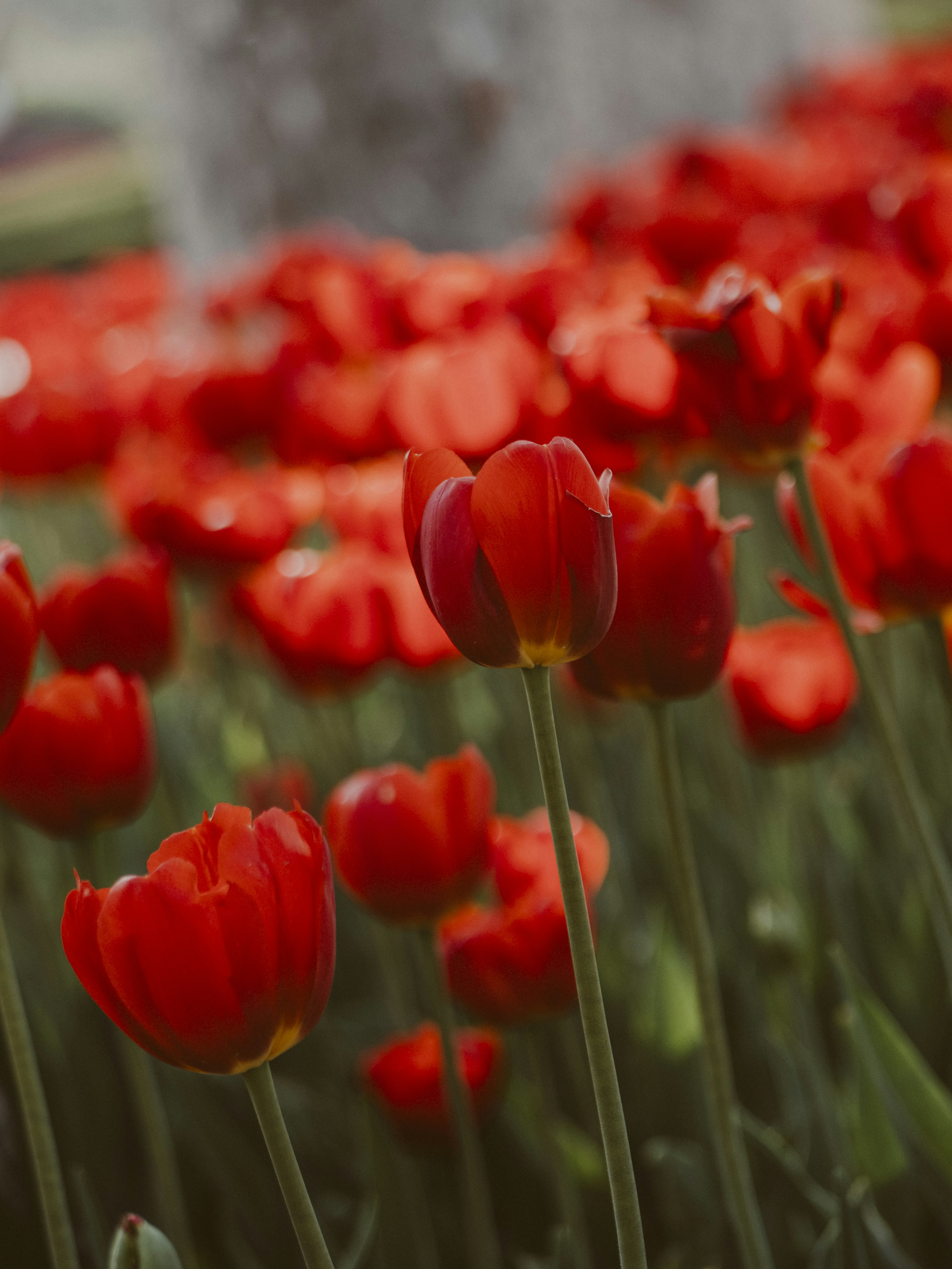 Photo by xiazheng1995