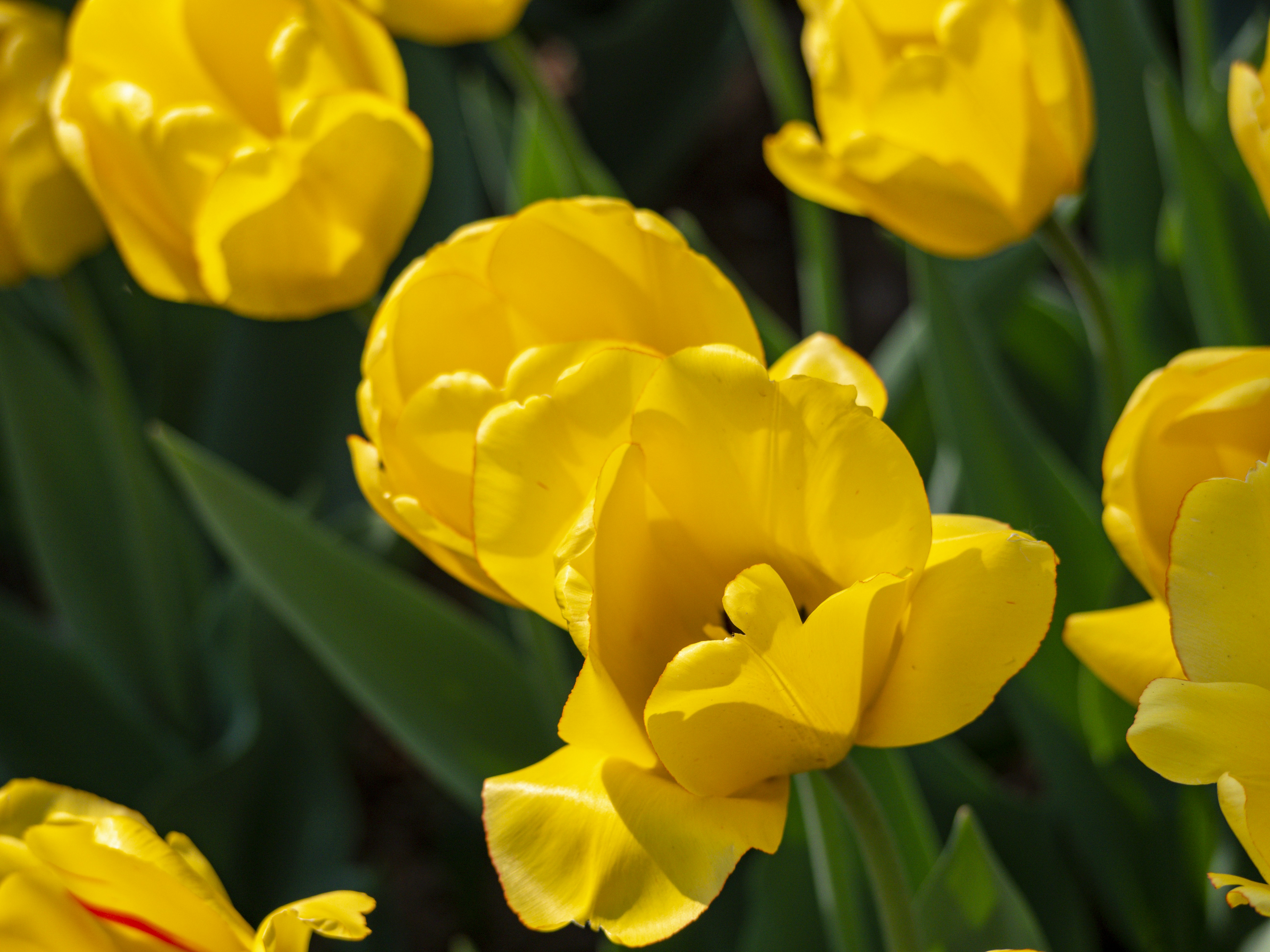 Photo by xiazheng1995