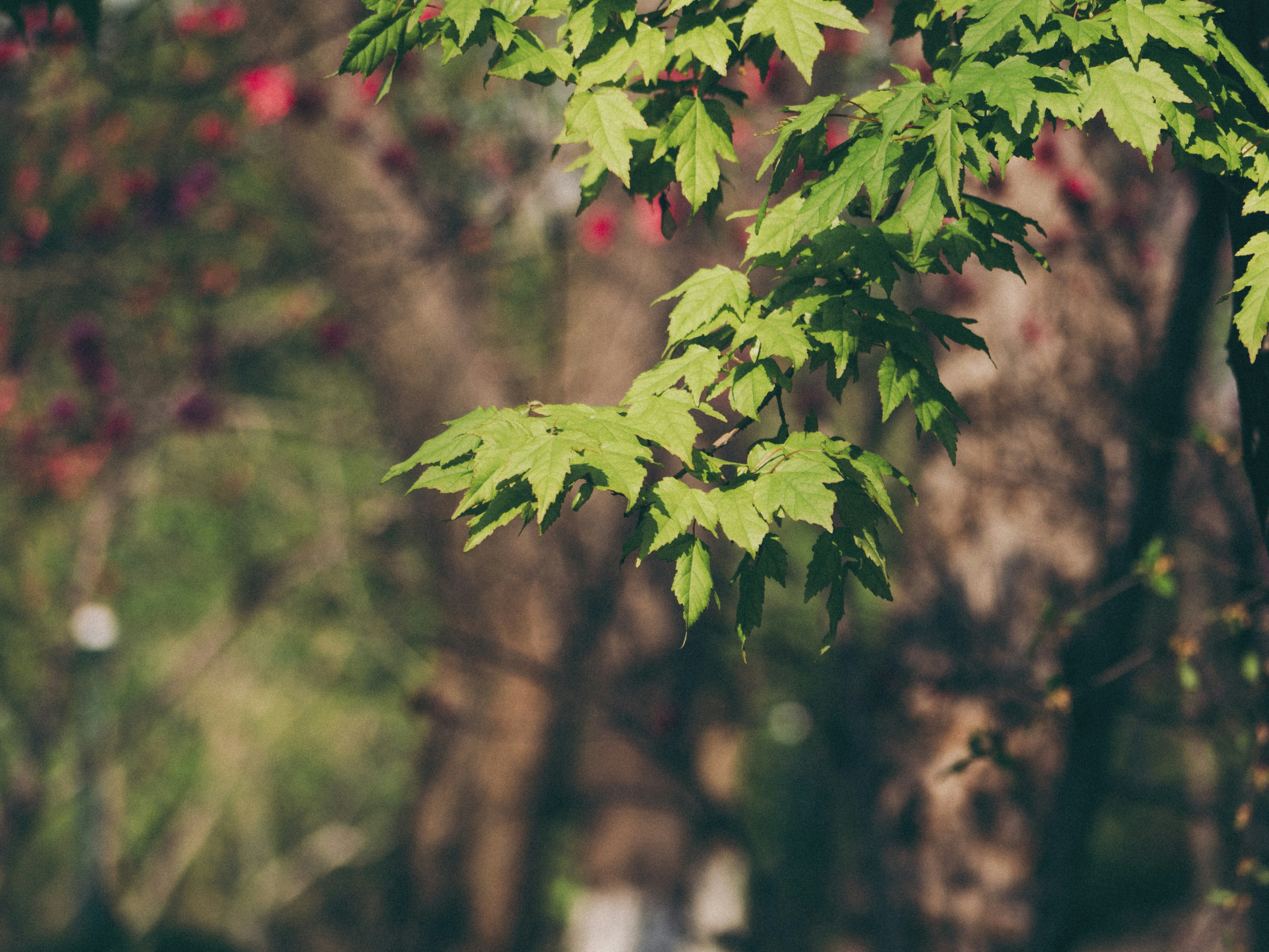 Photo by xiazheng1995