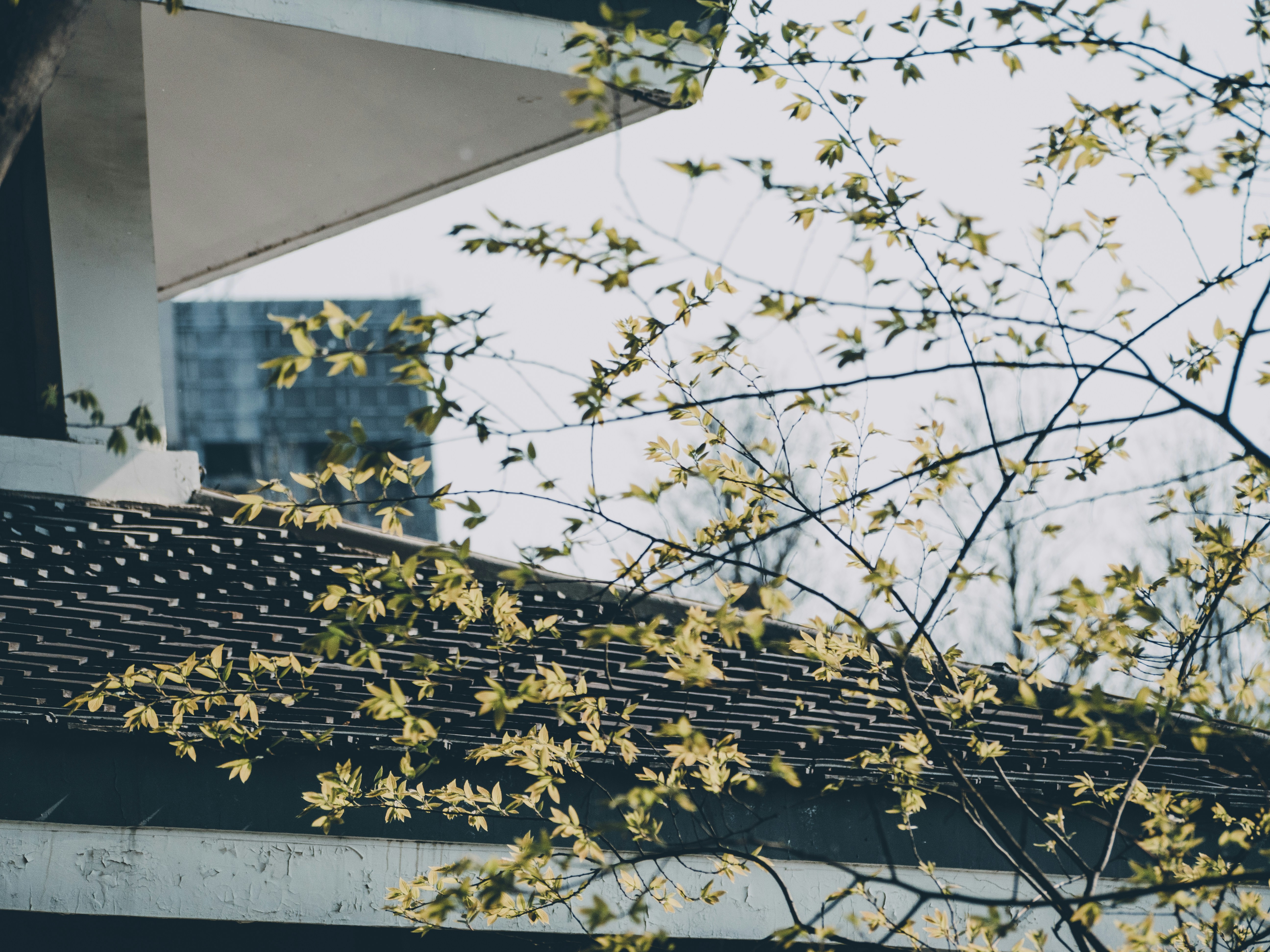 Photo by xiazheng1995