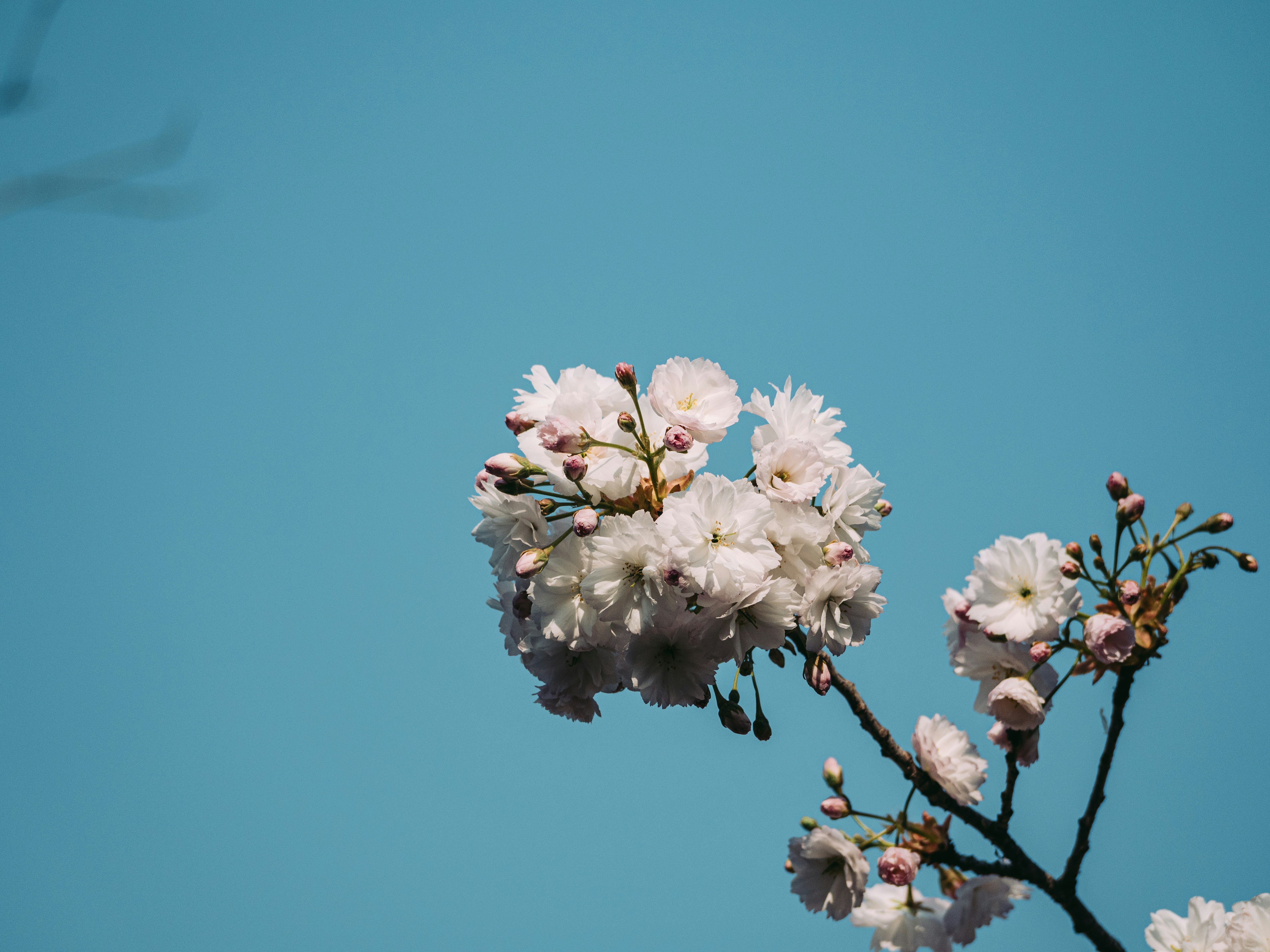 Photo by xiazheng1995