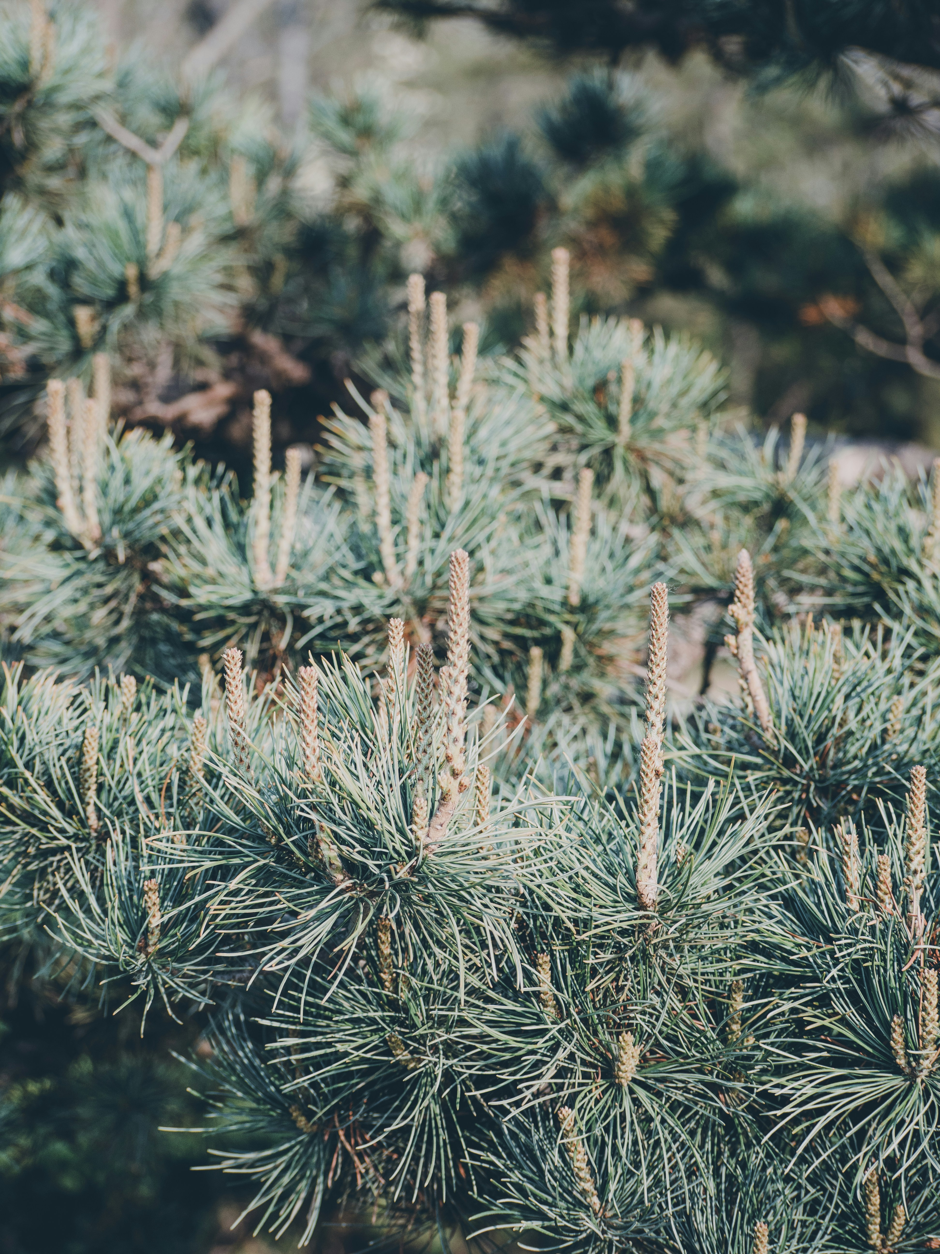 Photo by xiazheng1995