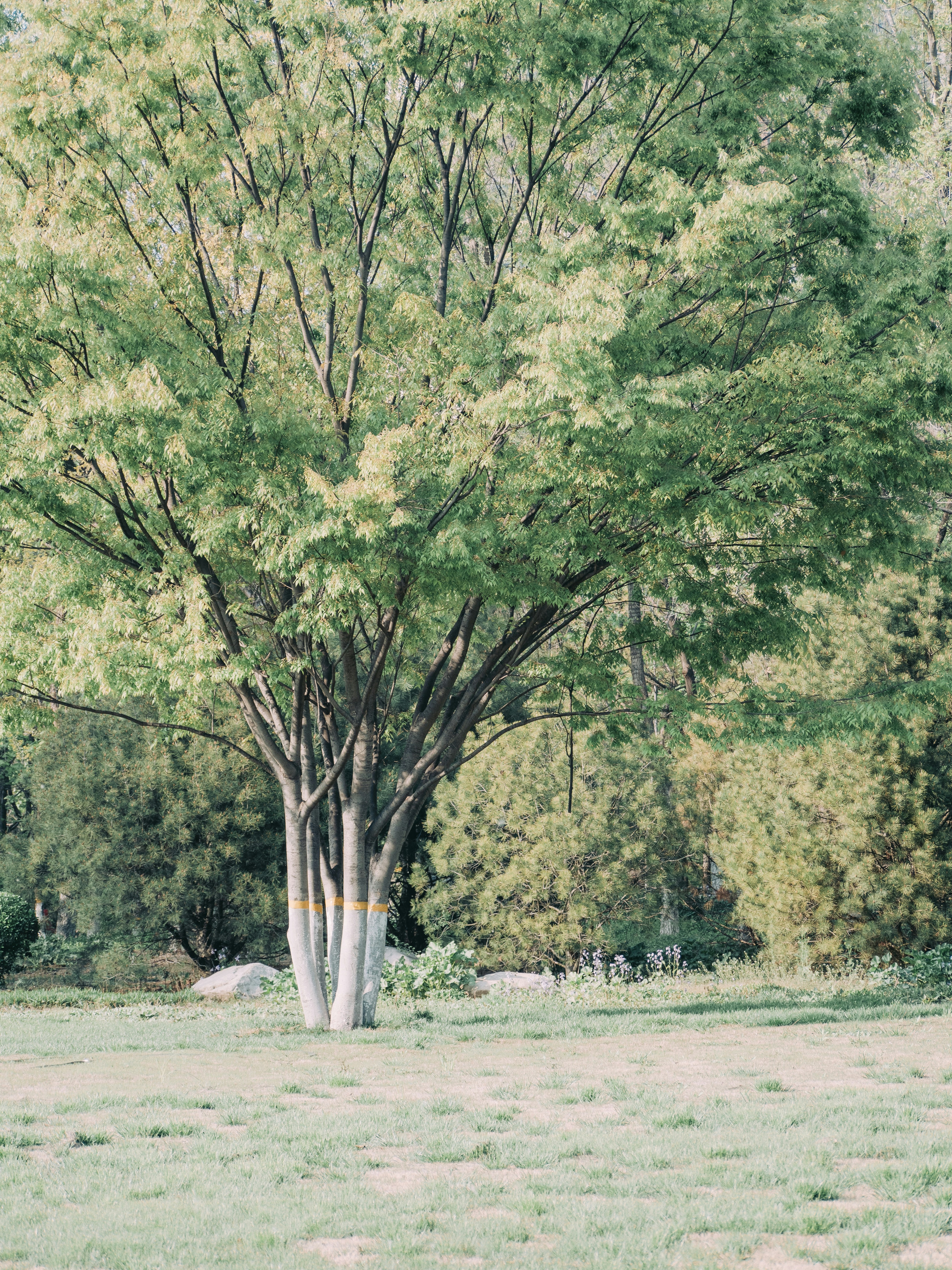 Photo by xiazheng1995