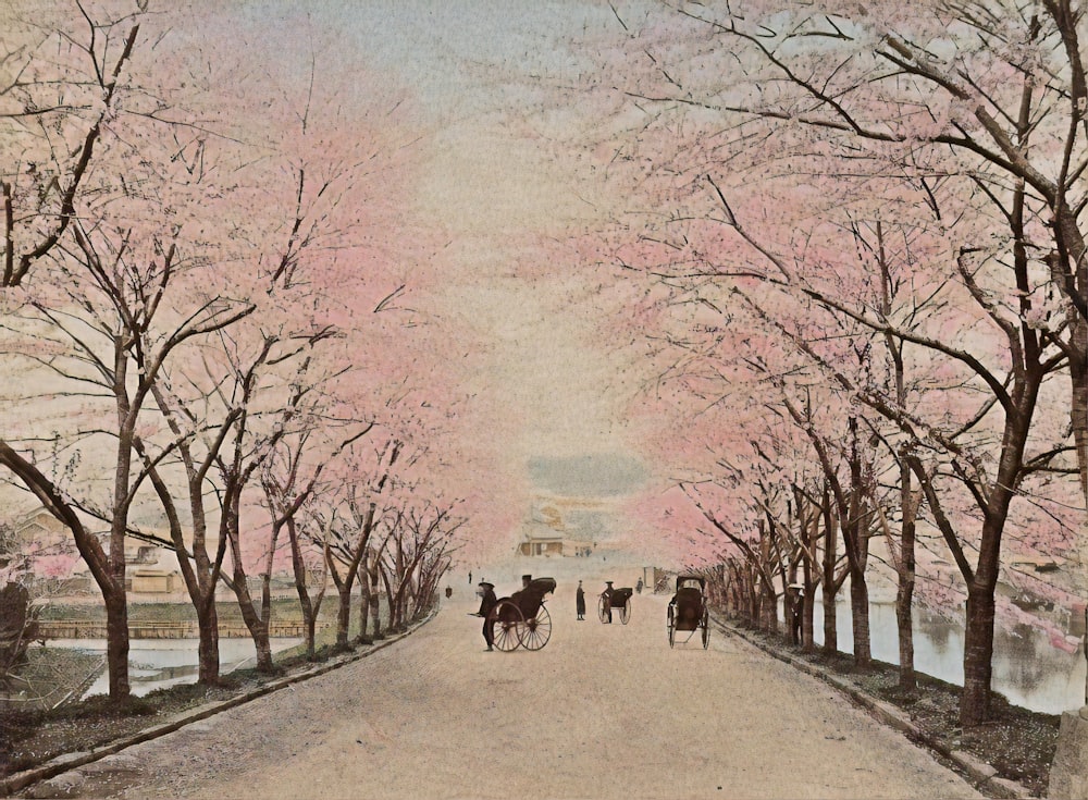 people walking on road near trees during daytime