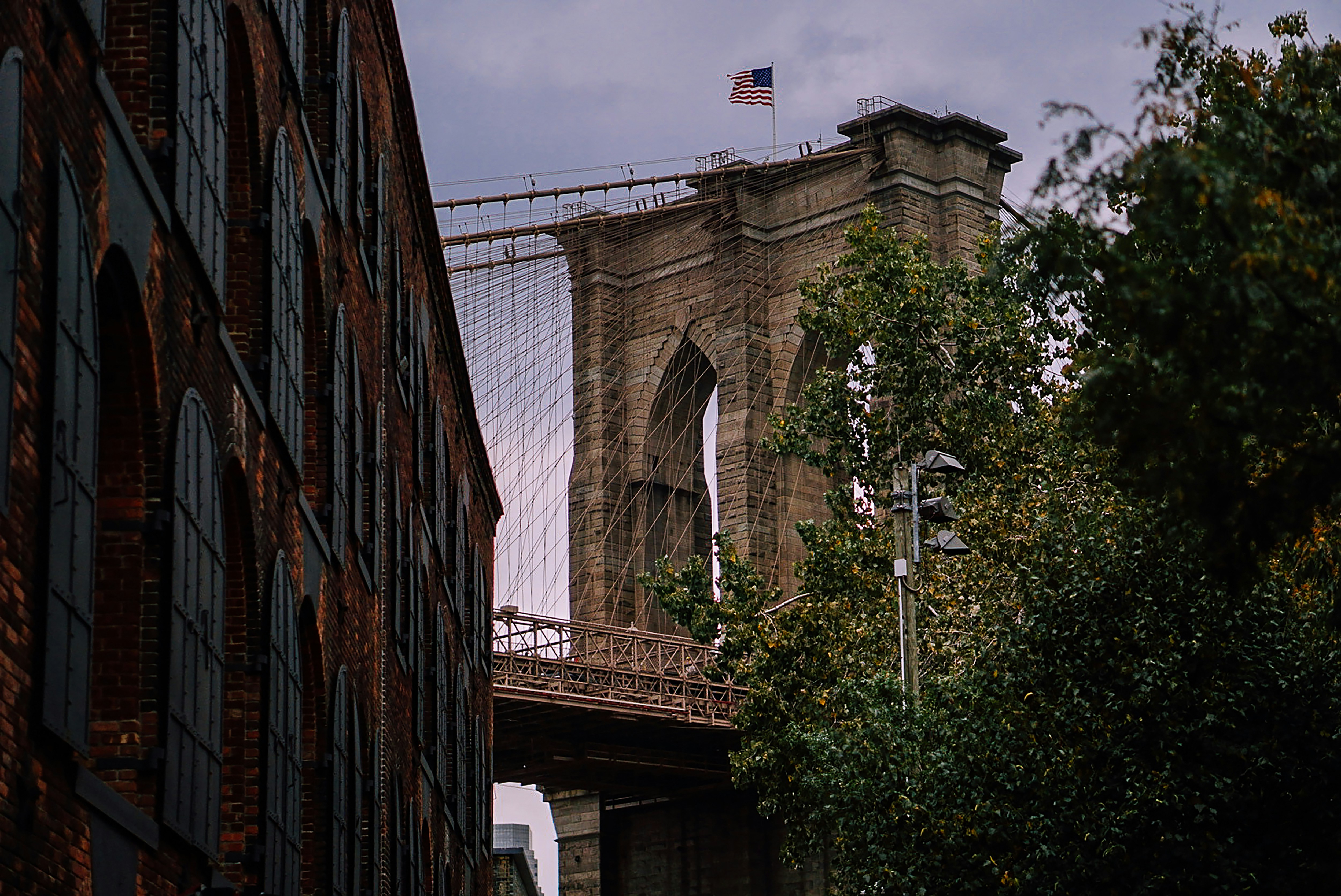 Choose from a curated selection of flag photos. Always free on Unsplash.