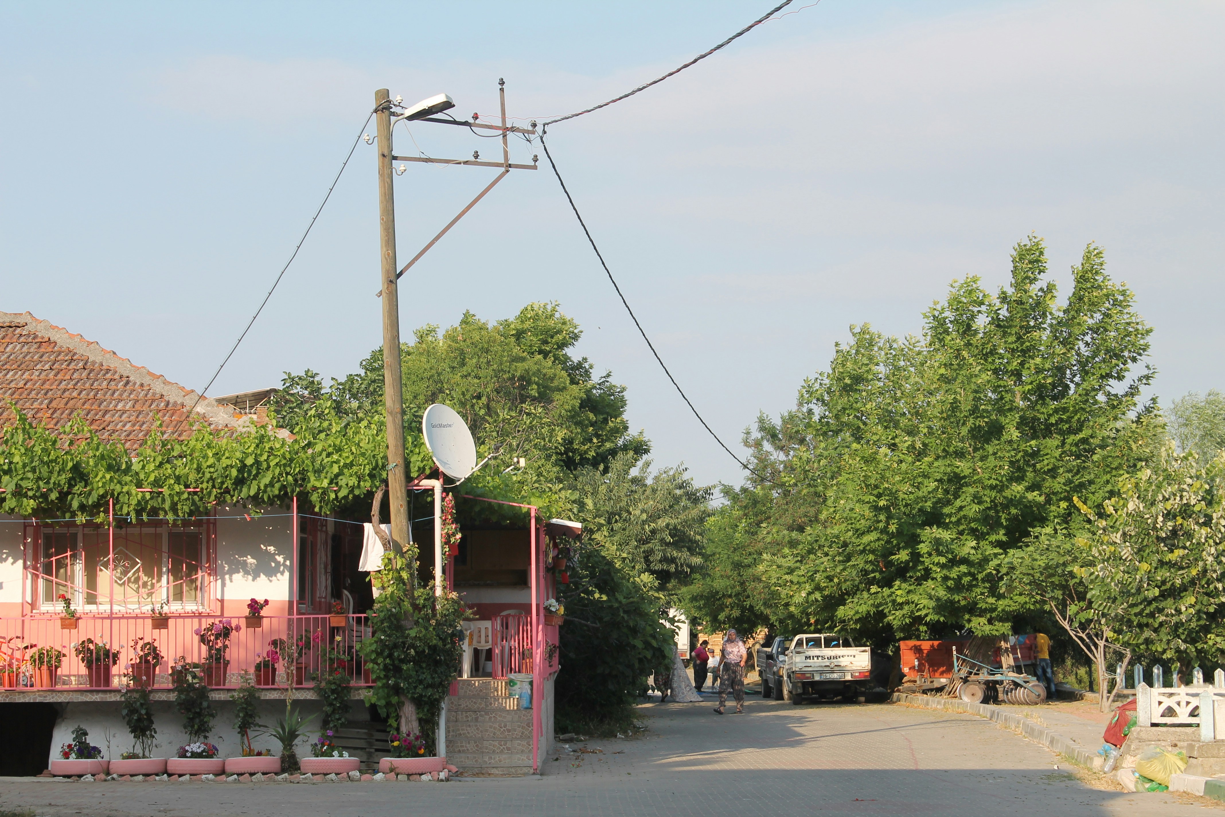 people walking on sidewalk near green trees during daytime