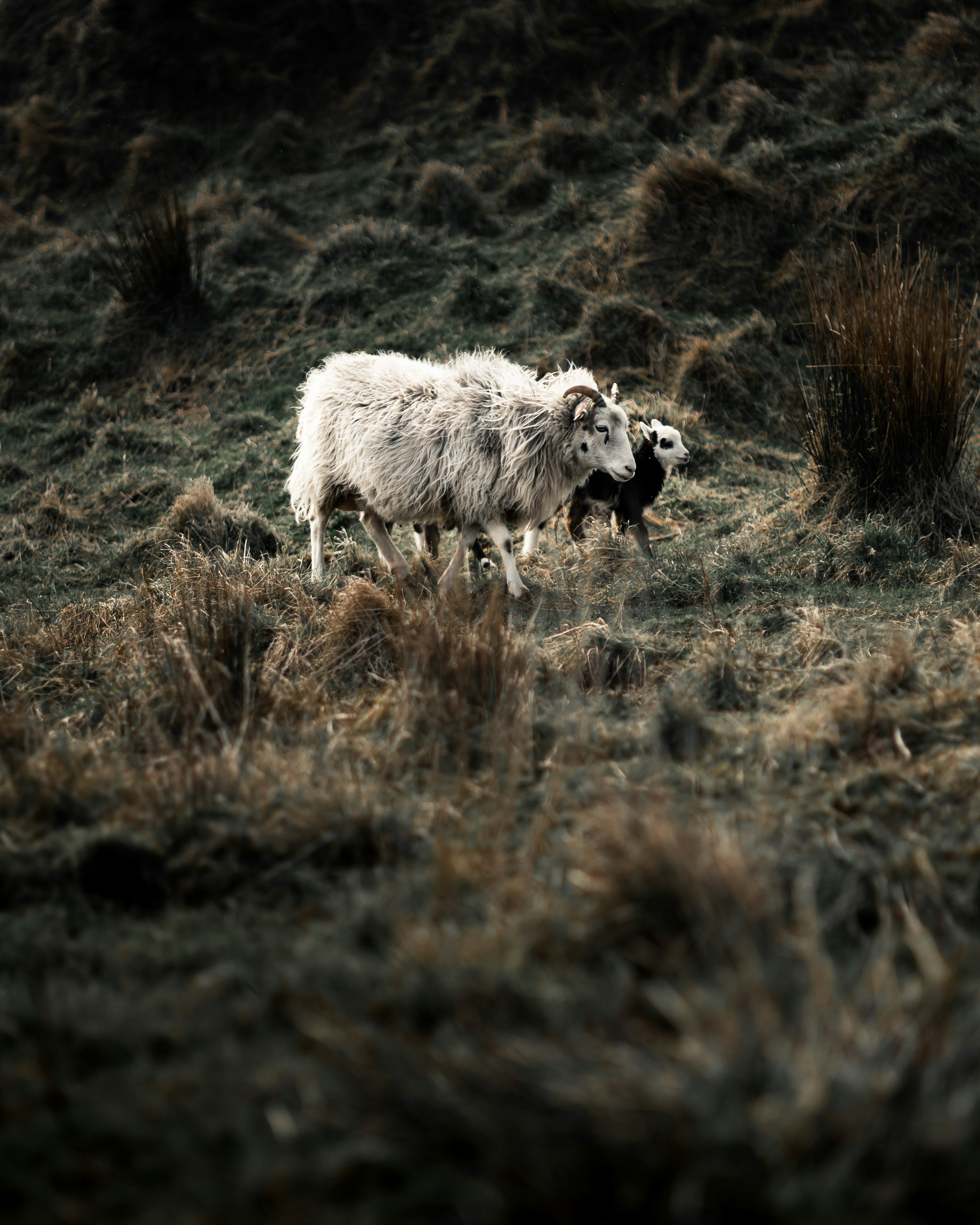 Photo by lachlangowen