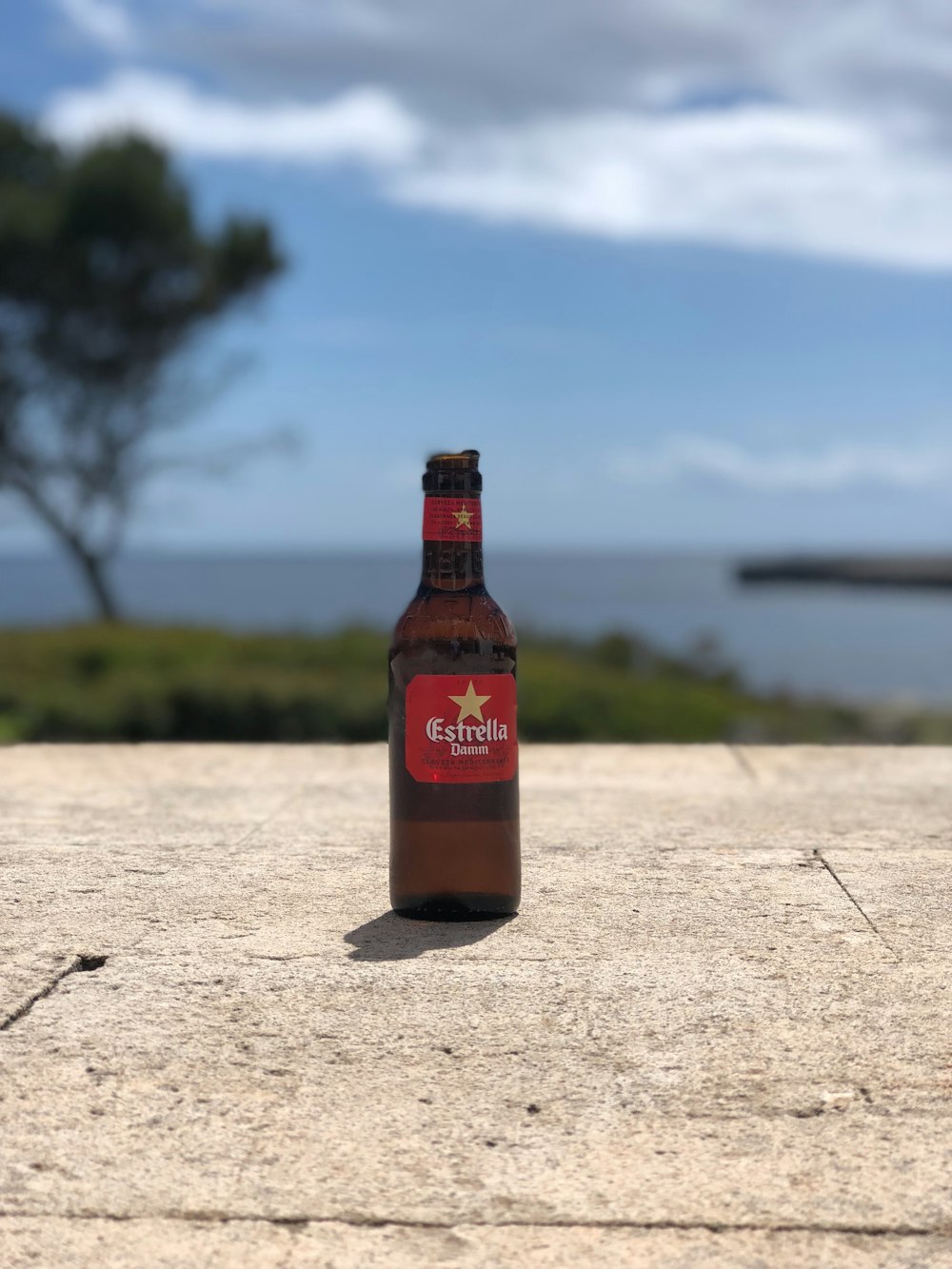 brown glass bottle on white sand during daytime