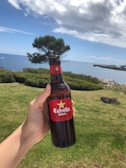 A hand is holding a bottle of Estrella Damm beer against the backdrop of a scenic coastal landscape. The sky is partly cloudy with patches of blue, and the ocean is visible in the background. A tree is situated near the shoreline, and the grass is lush and green.