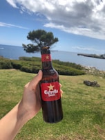 A hand is holding a bottle of Estrella Damm beer against the backdrop of a scenic coastal landscape. The sky is partly cloudy with patches of blue, and the ocean is visible in the background. A tree is situated near the shoreline, and the grass is lush and green.