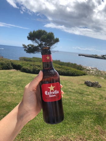 A hand is holding a bottle of Estrella Damm beer against the backdrop of a scenic coastal landscape. The sky is partly cloudy with patches of blue, and the ocean is visible in the background. A tree is situated near the shoreline, and the grass is lush and green.