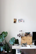 A bright workspace with sketches and plants on a wooden desk.