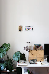 A minimalist workspace with a bright red desk organizer and fresh green plant.