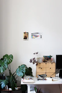 Minimalist workspace with natural light, sketchbooks, and green plants on a clean white desk.