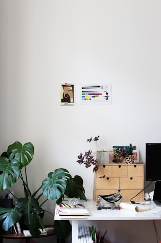 A bright and minimal workspace features a white desk with various items including notebooks, a pen, and a black pouch. A wooden drawer unit is placed on the desk, adorned with potted plants. Large green leafy plants sit on the floor next to the desk. The desk is positioned against a plain white wall with two pieces of artwork or paper taped to it.