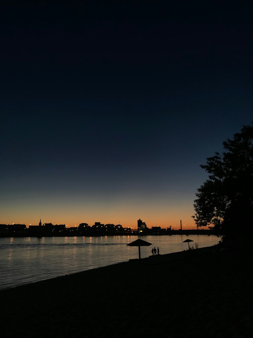 silhouette di persone che camminano sul parco durante il tramonto