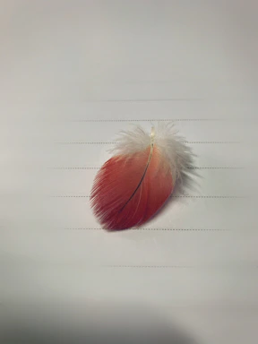 A minimalist purple feather quill resting on a clean white legal document.