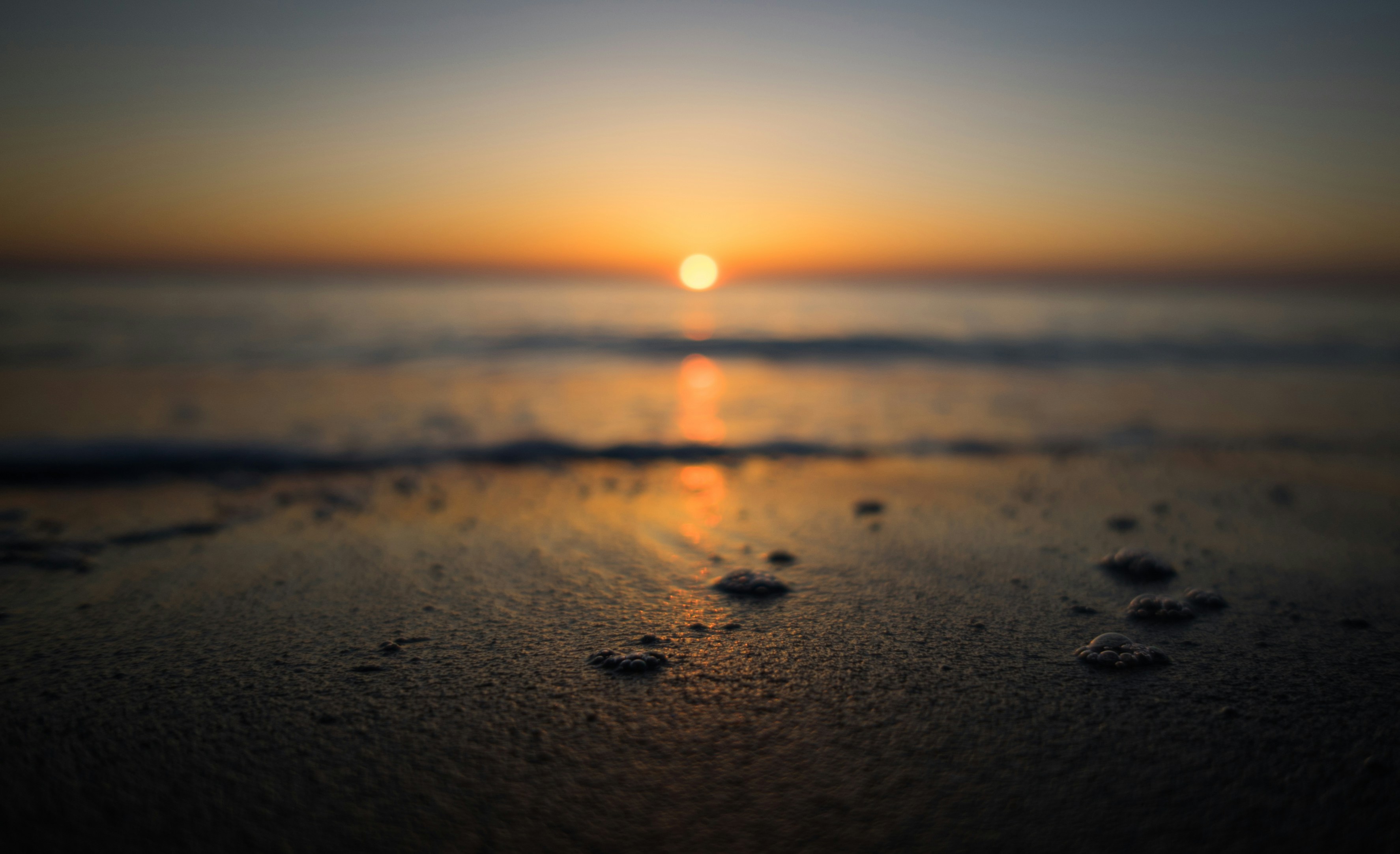 Photo by willwright99