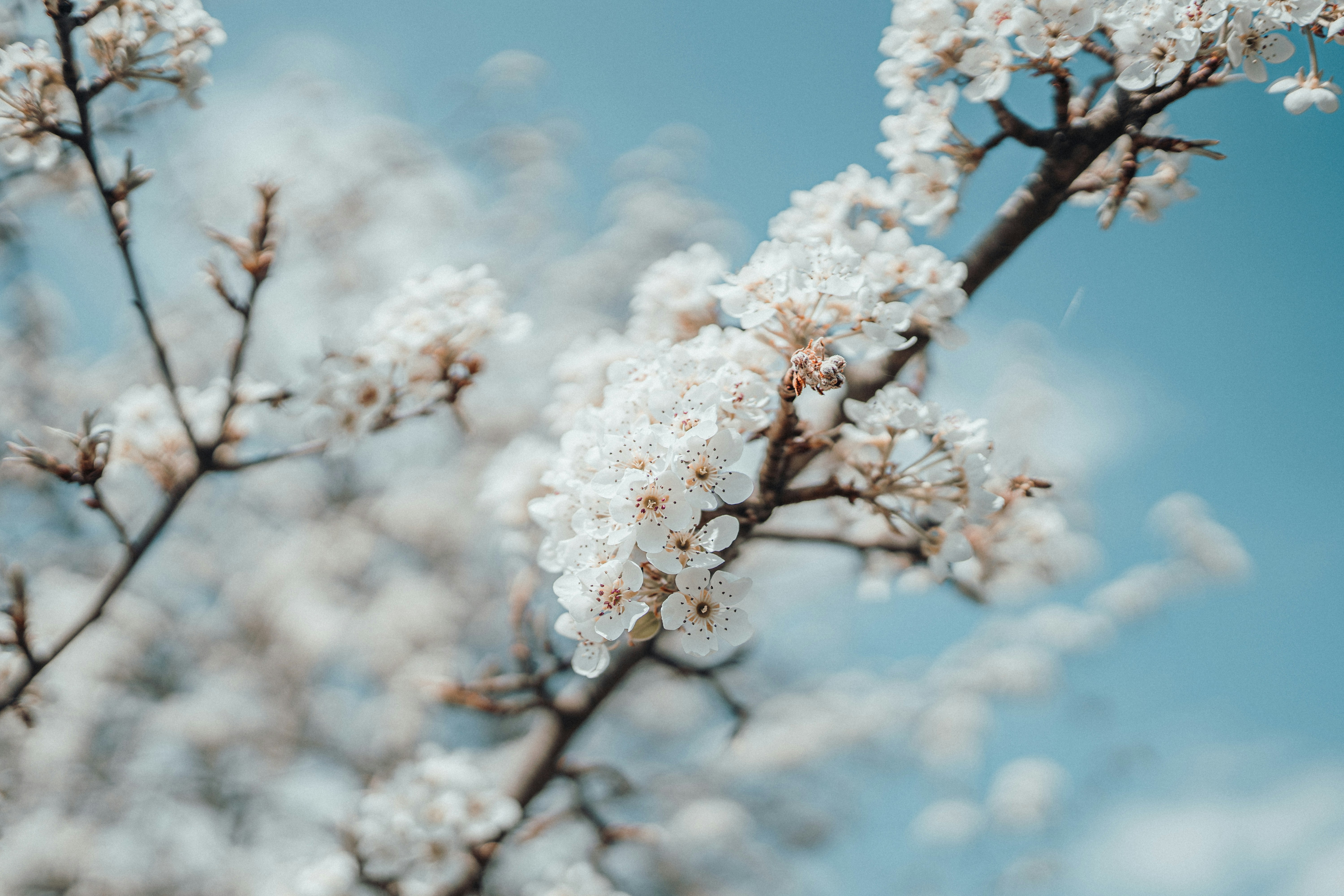 Photo by luiseandnic