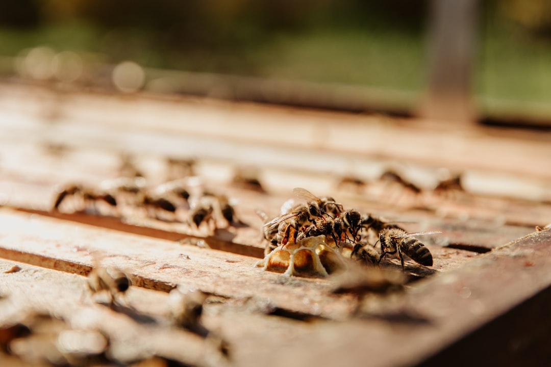 7 Most Common House Pests and How to Spot Them