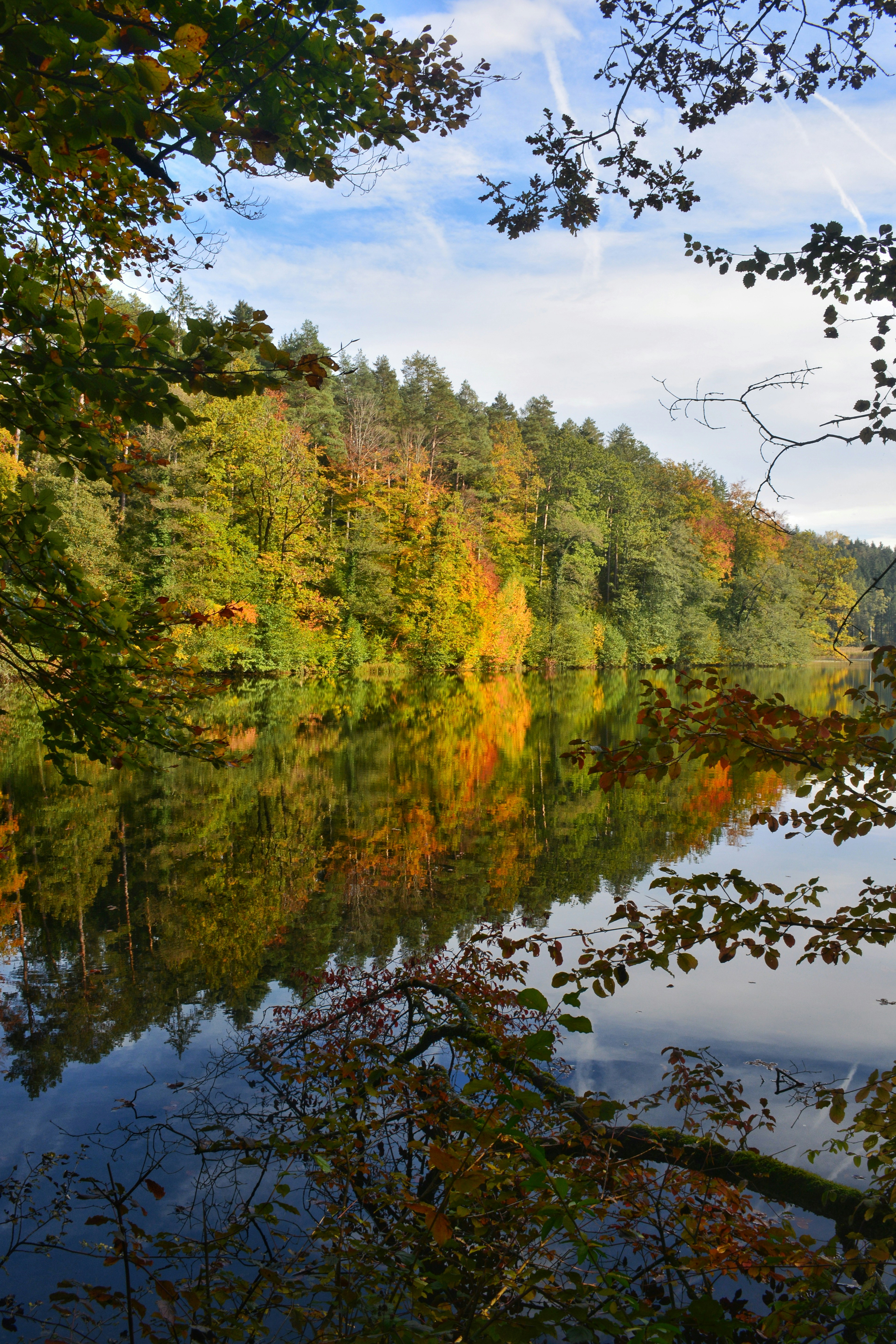 Photo by pedrino5_official