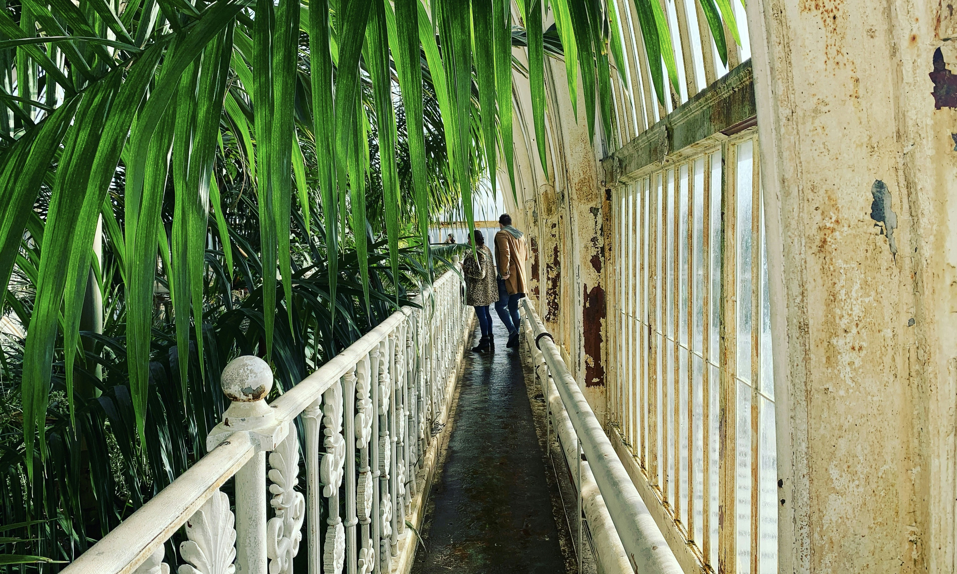 Coconut Grove (White Bridge)