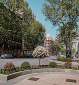 green trees near brown concrete building during daytime