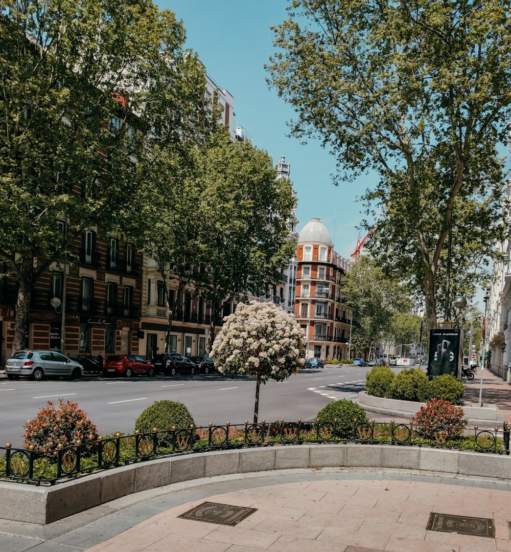 green trees near brown concrete building during daytime