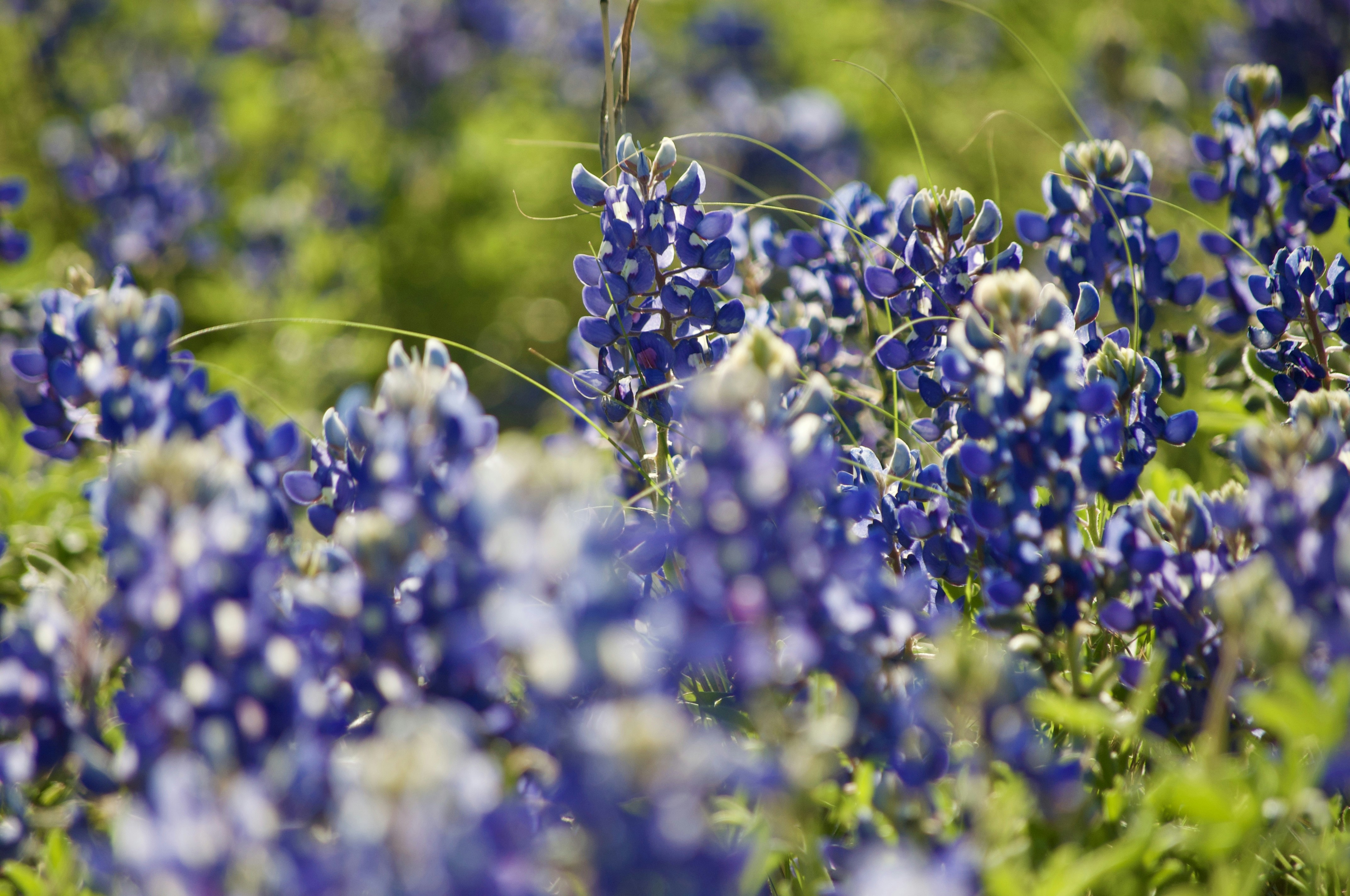 Photo by cameramandan83