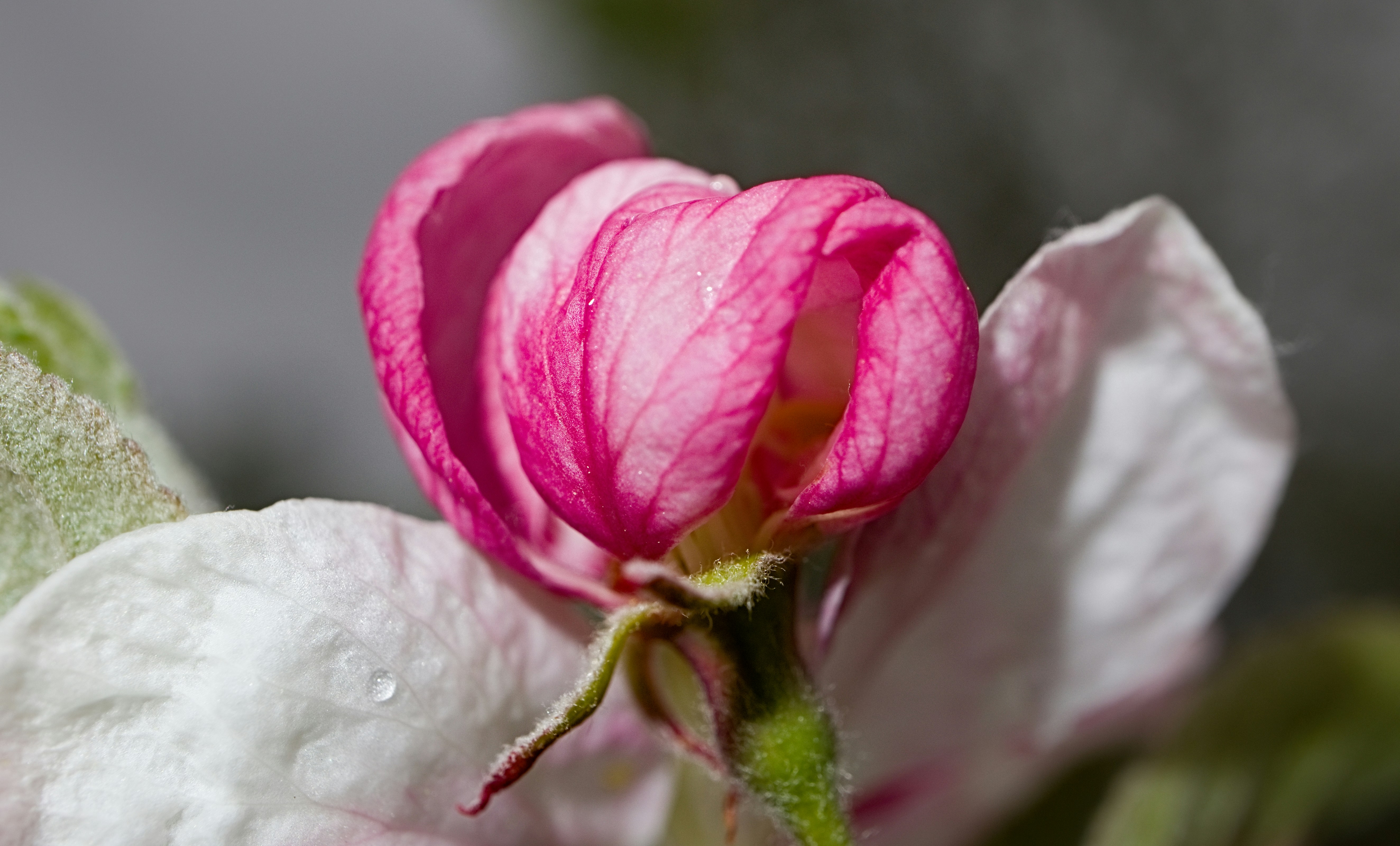 Photo by grievek1610begur