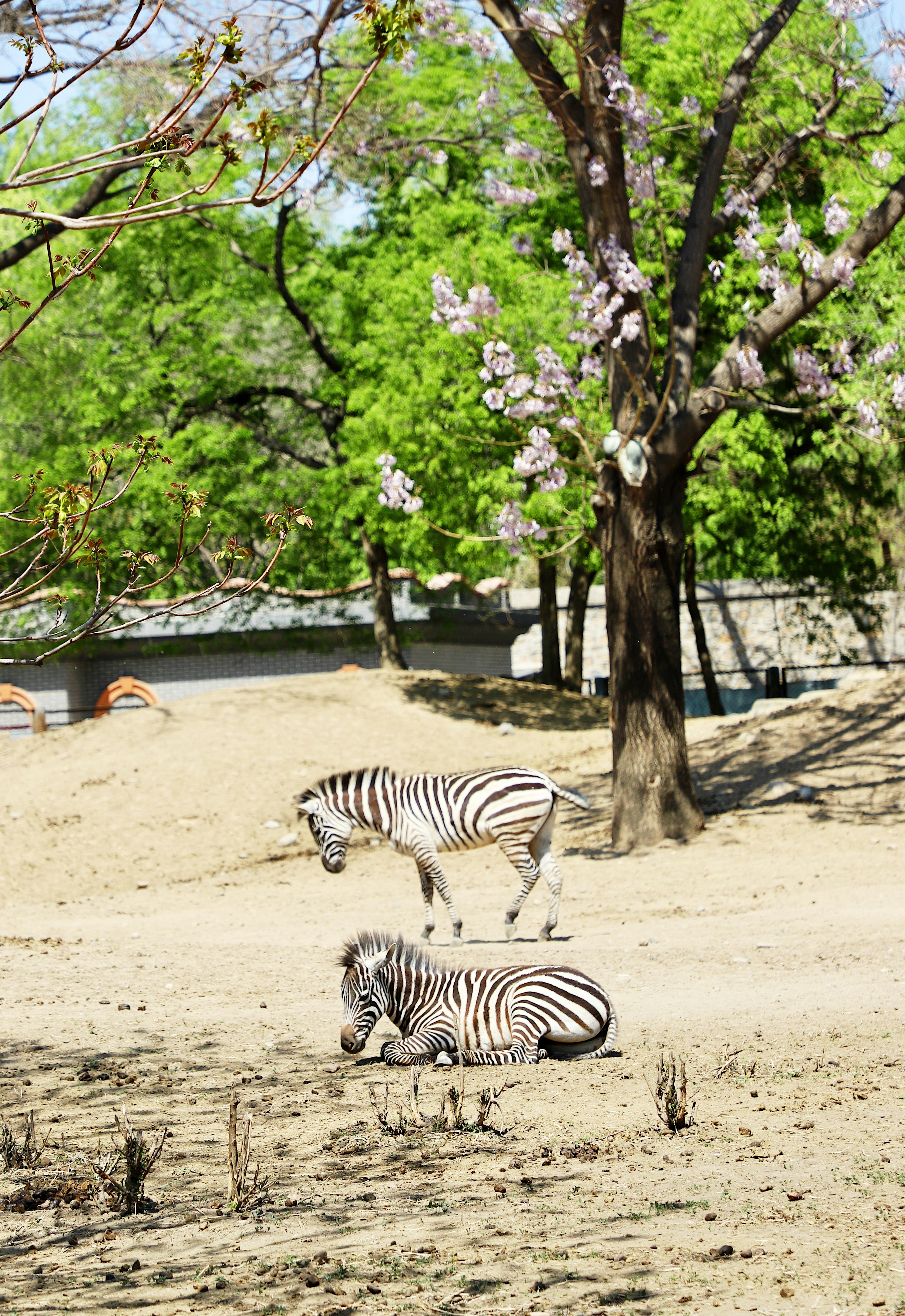 地元愛強く！上田市の美容鍼でクマ解消 - 目の下の悩みを根本治療