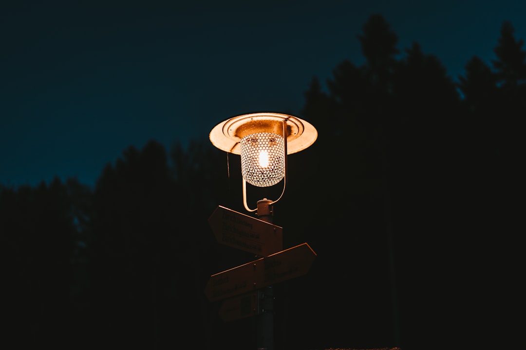 brown and white lamp post