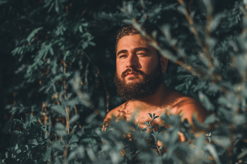 topless man standing near green plants during daytime