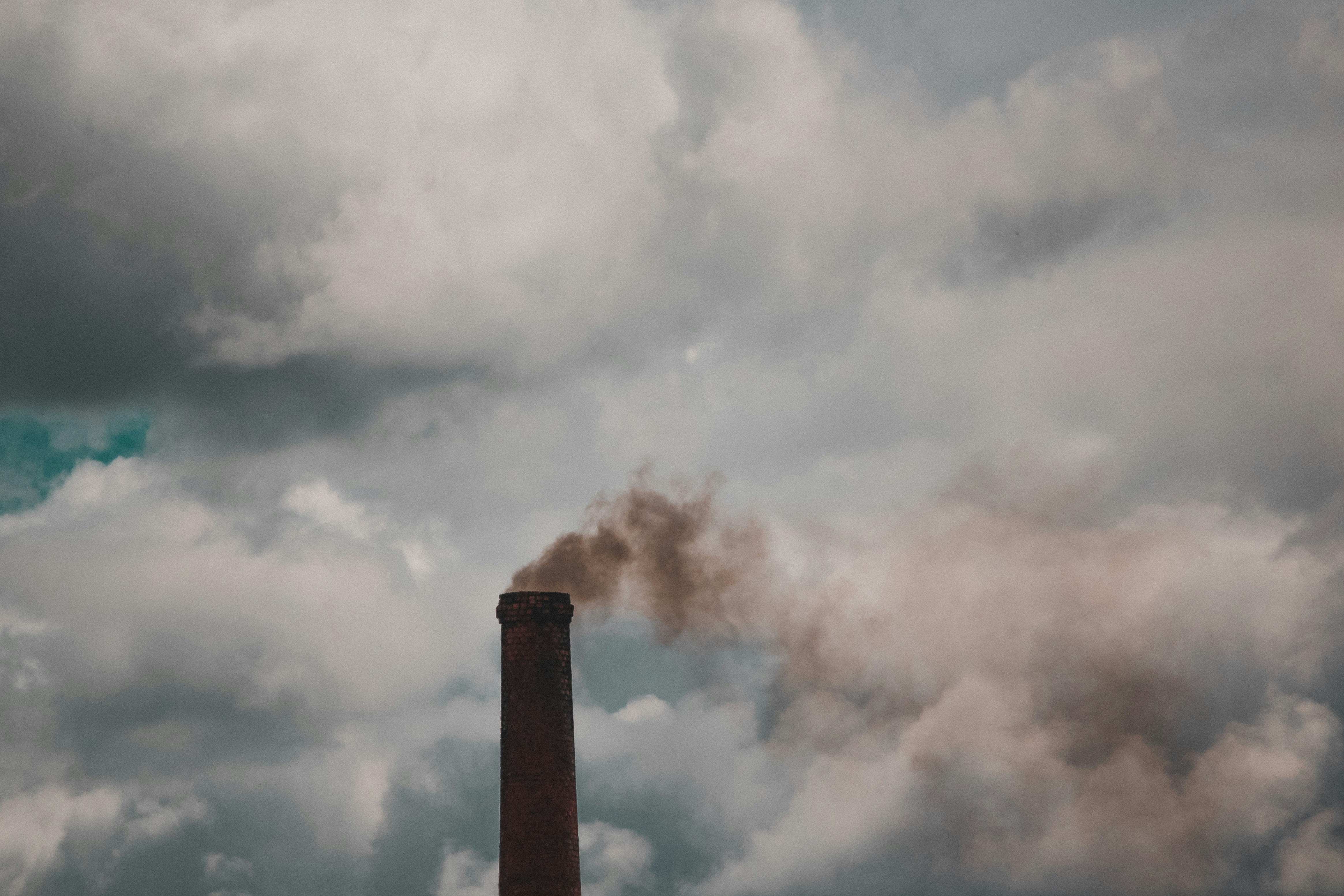 Photo by igorrodrigues