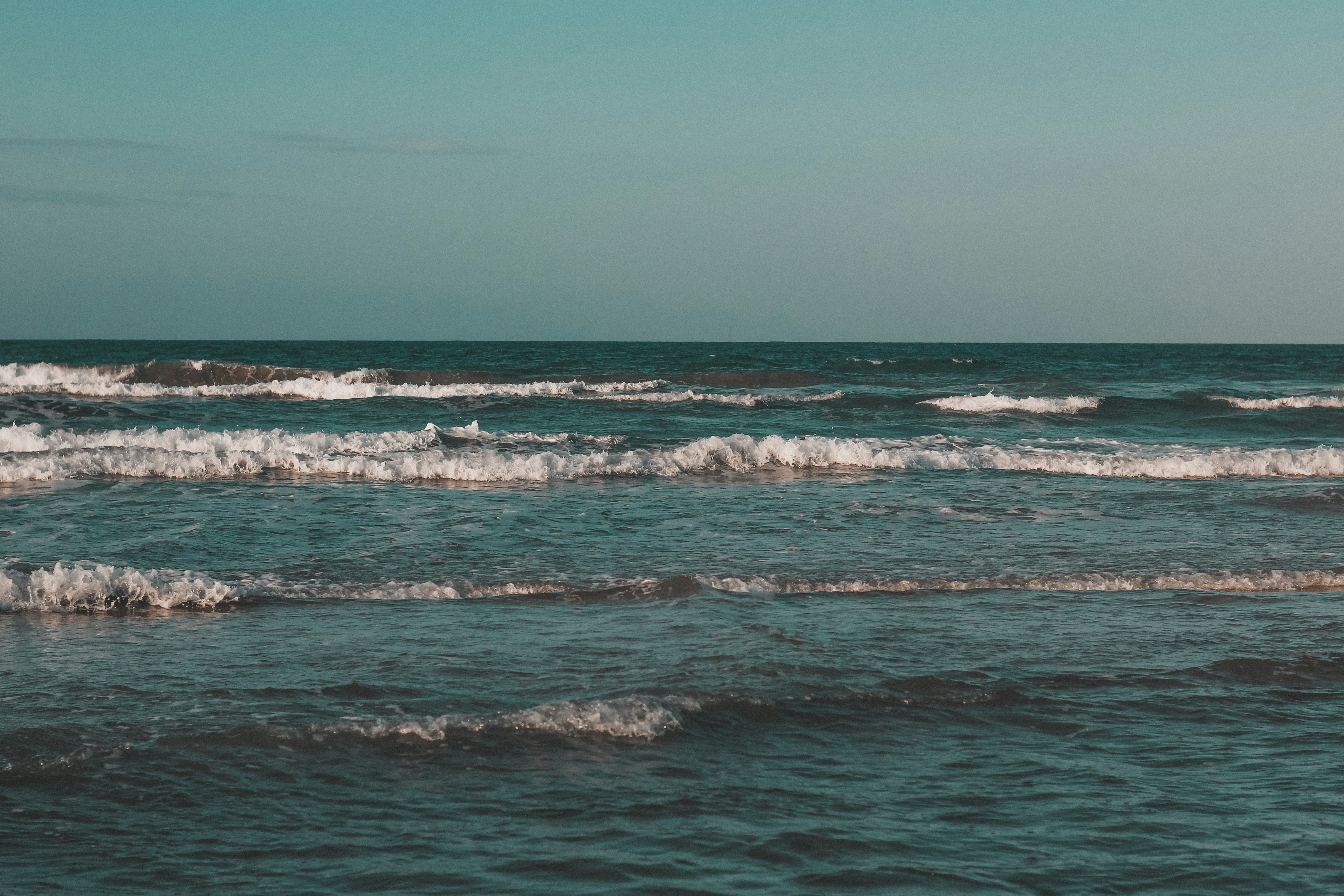 Photo by igorrodrigues