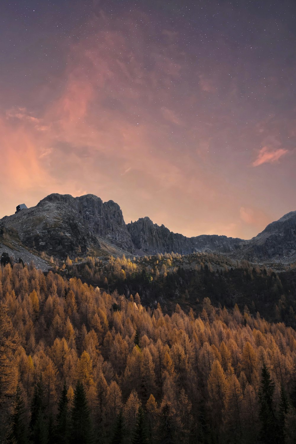 green and brown trees near mountain under cloudy sky during daytime