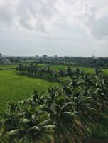 A panoramic view of the Khairpur Special Economic Zone with the Eco Fruits facility nestled among greenery.