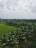 A lush green landscape with neatly arranged rows of palm trees and expansive fields extending into the distance. The scene is bordered by a line of trees and framed against a backdrop of distant buildings under a cloudy sky.