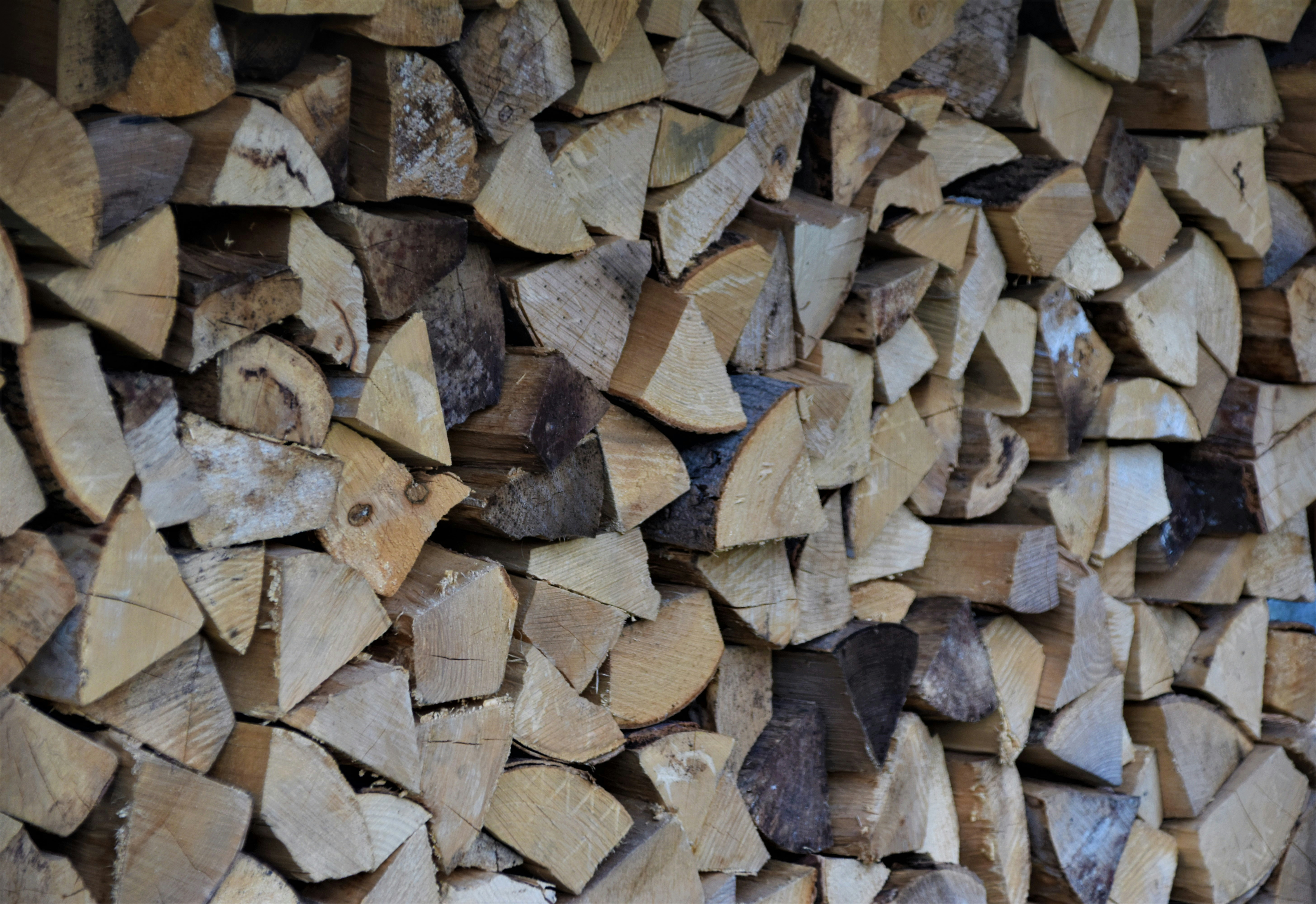 Photo by waldemarbrandt67w