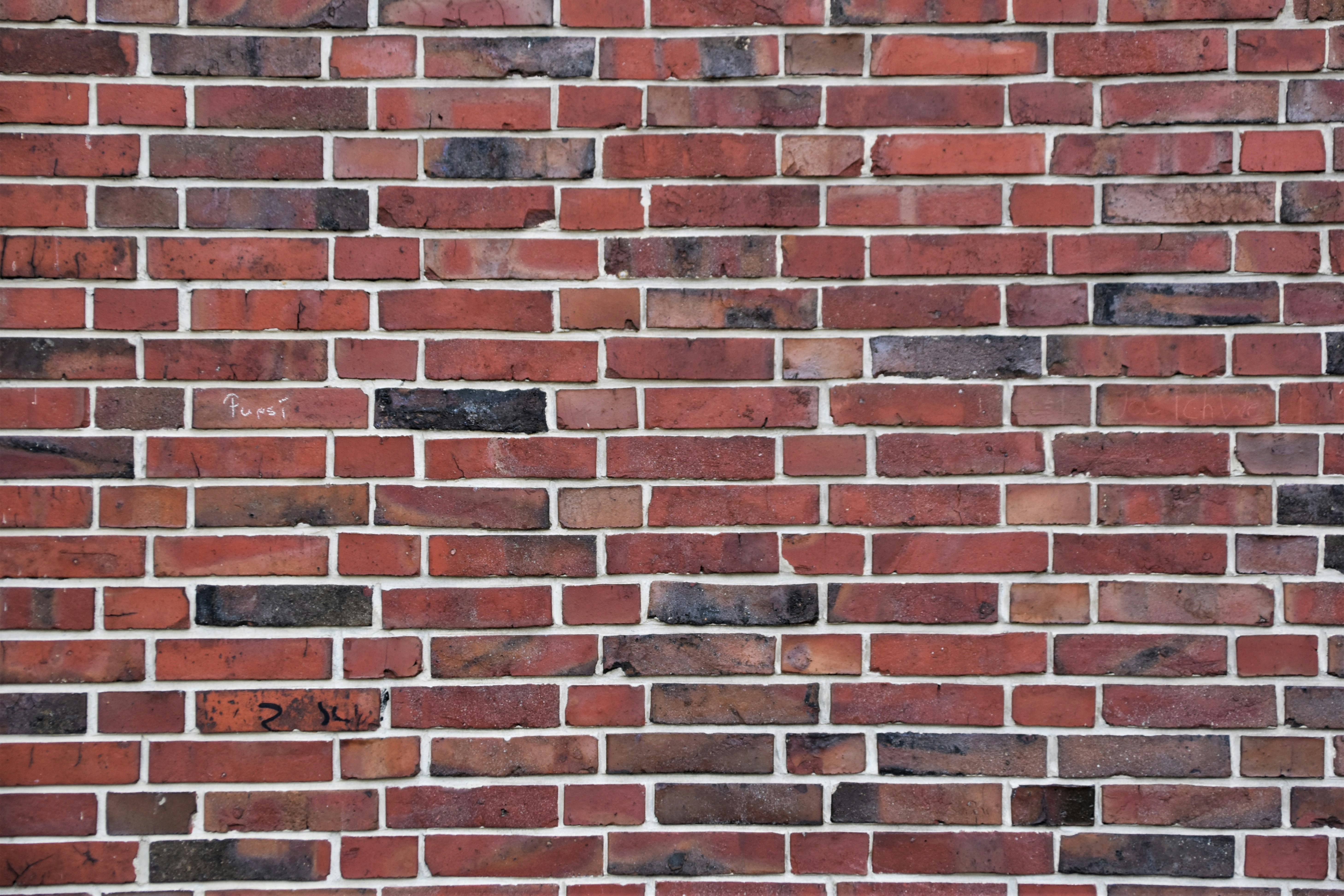 Photo by waldemarbrandt67w