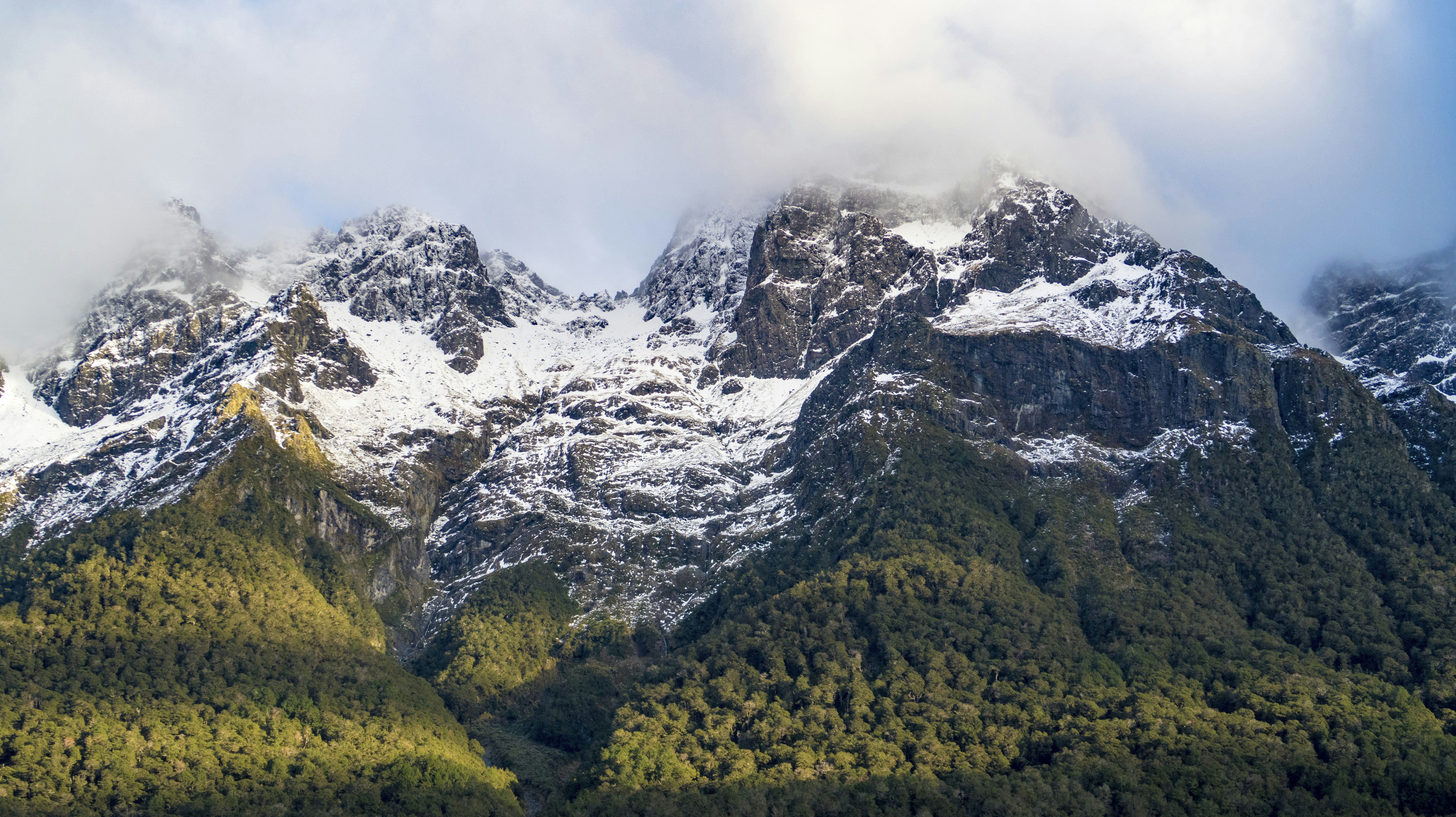 green trees on mountain during daytime