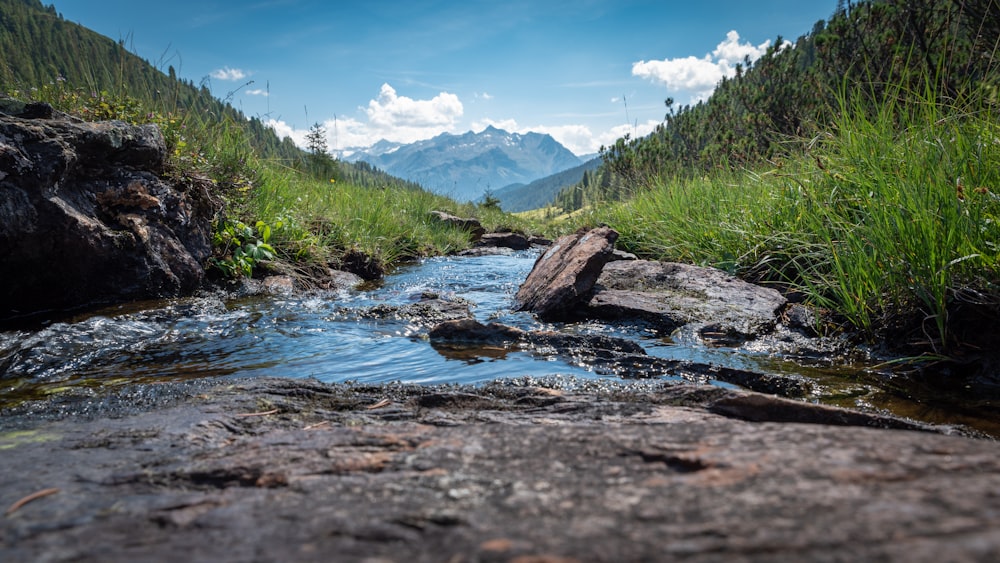 brown and black rocks on river near green grass field and mountains under blue sky during