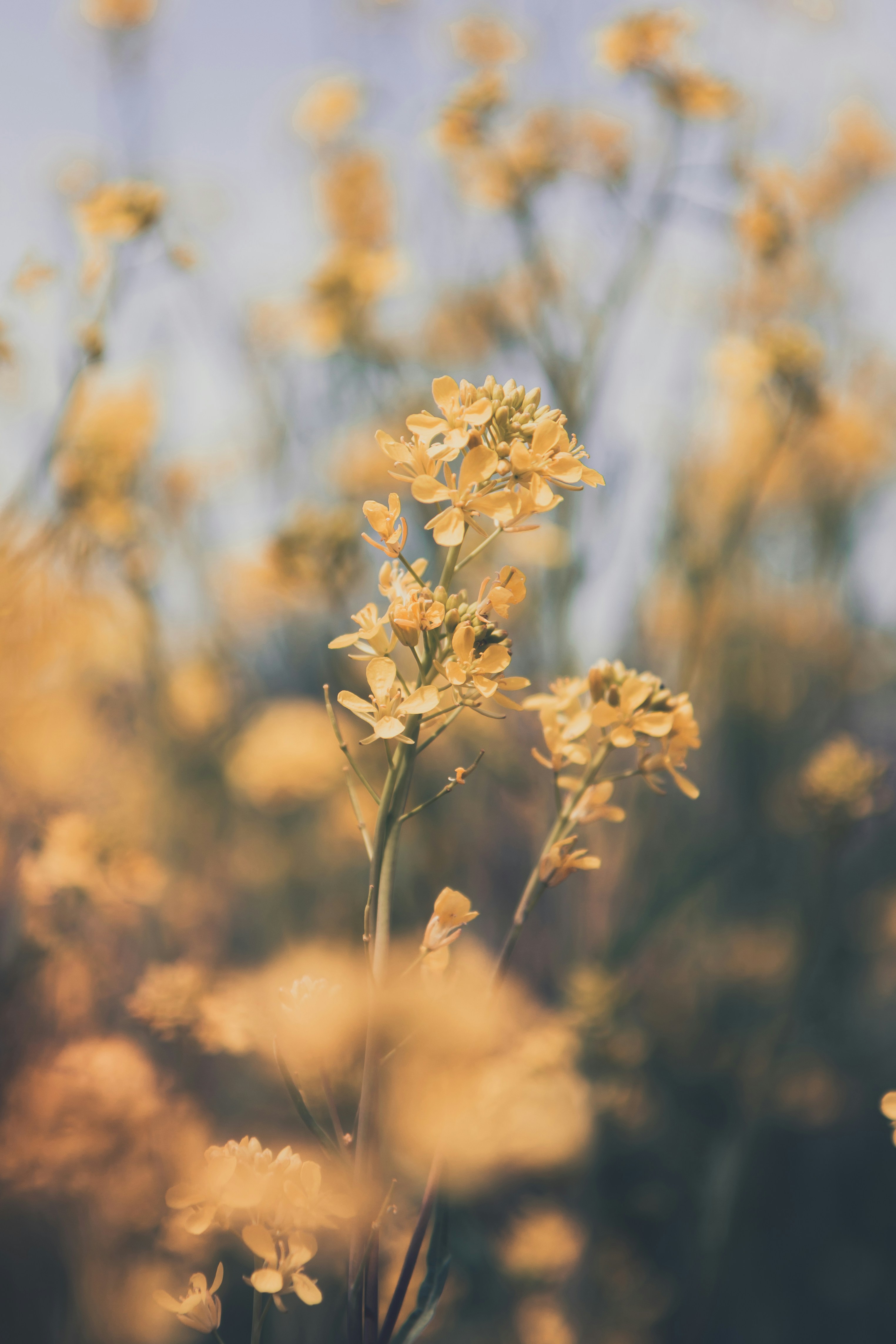 Photo by lightimemories2