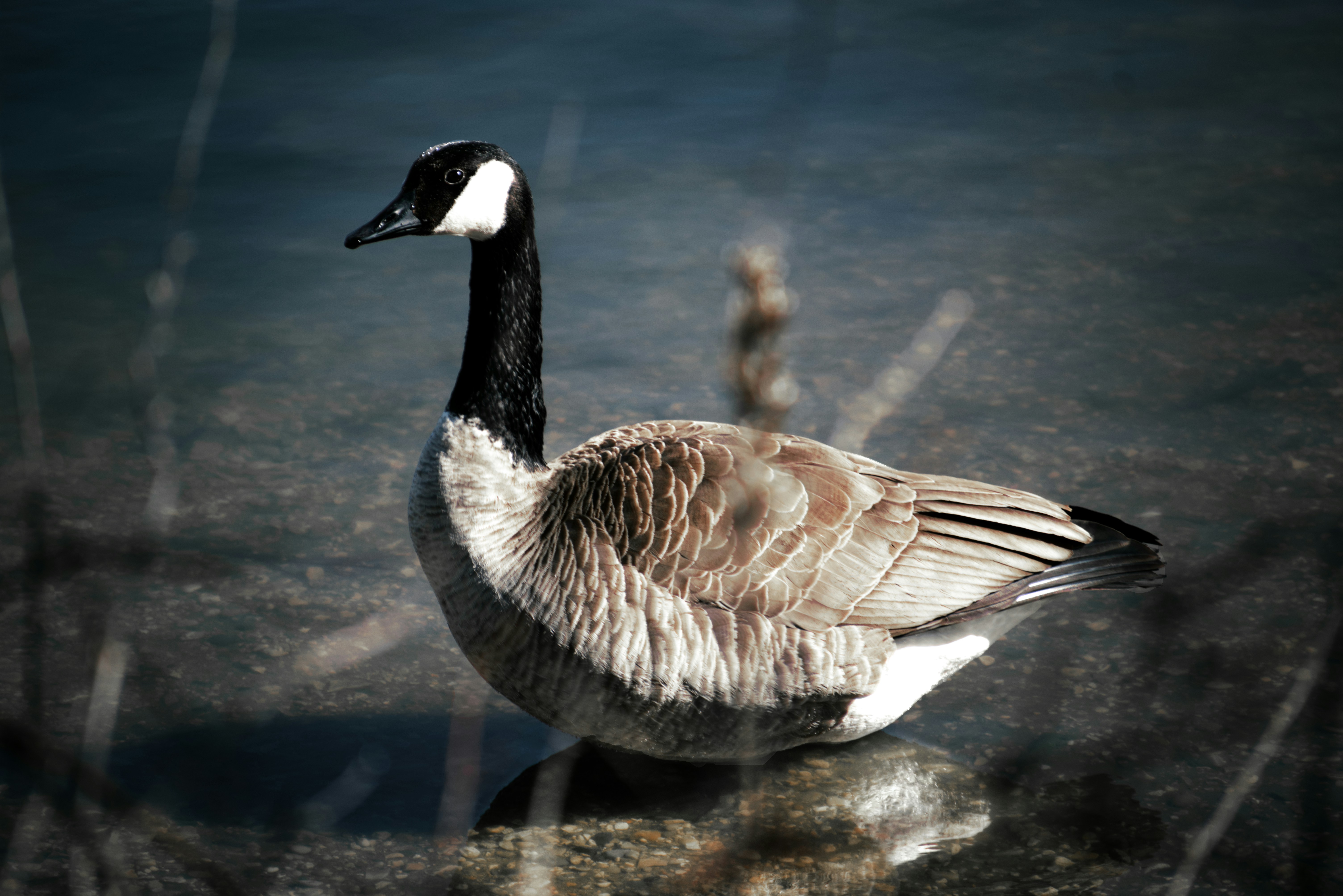 Photo by ldpeterson11