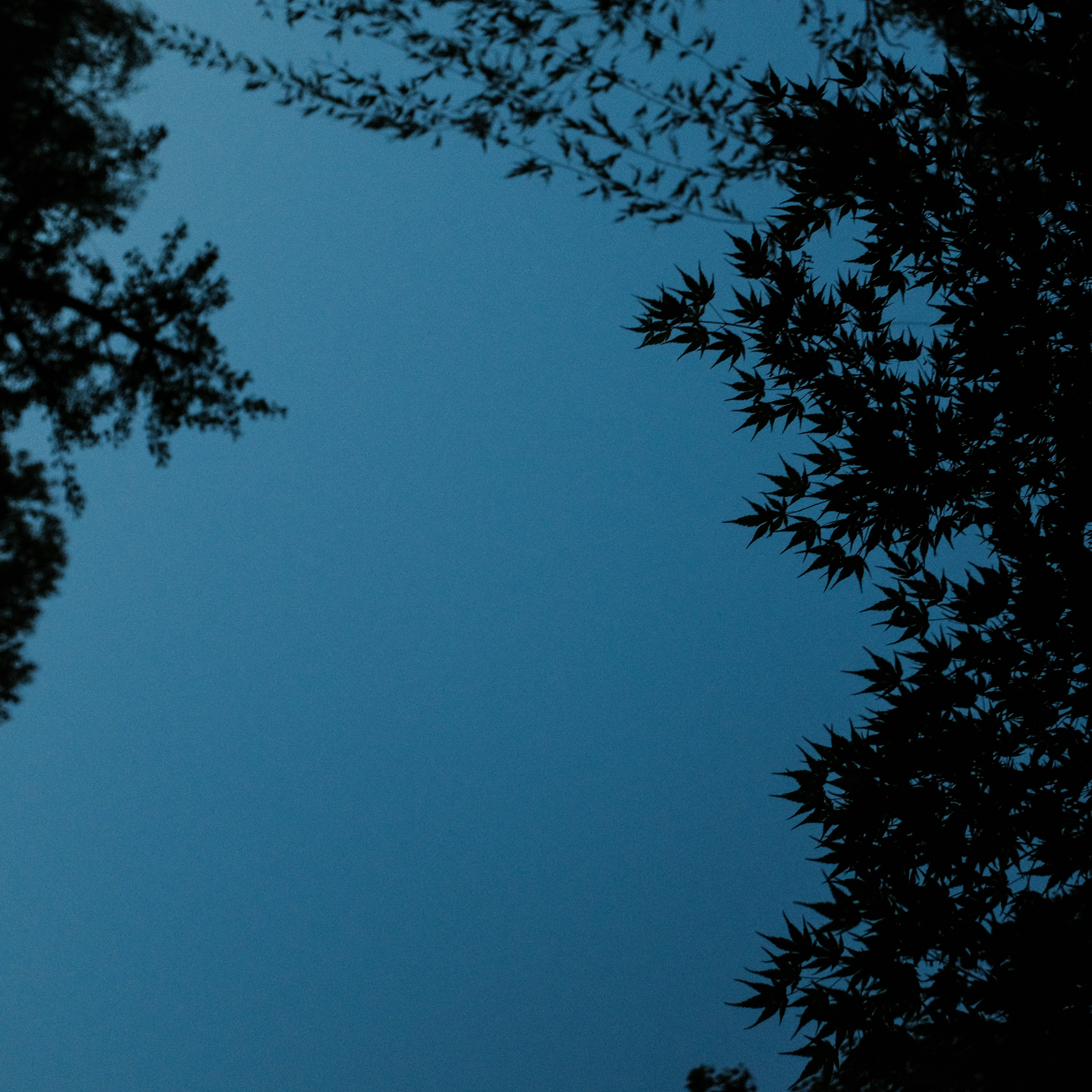 Photo by kennyzhang29