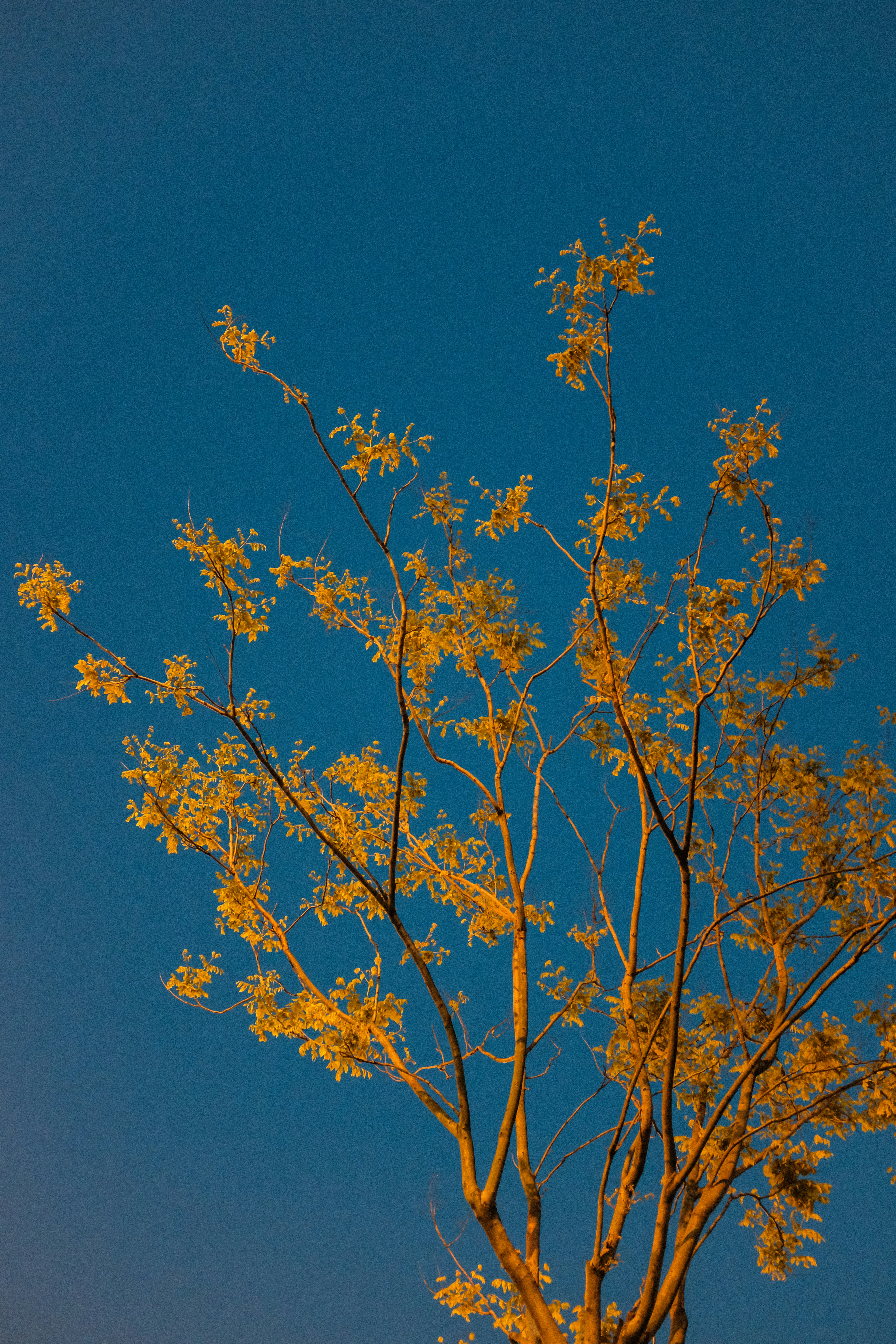 Photo by kennyzhang29