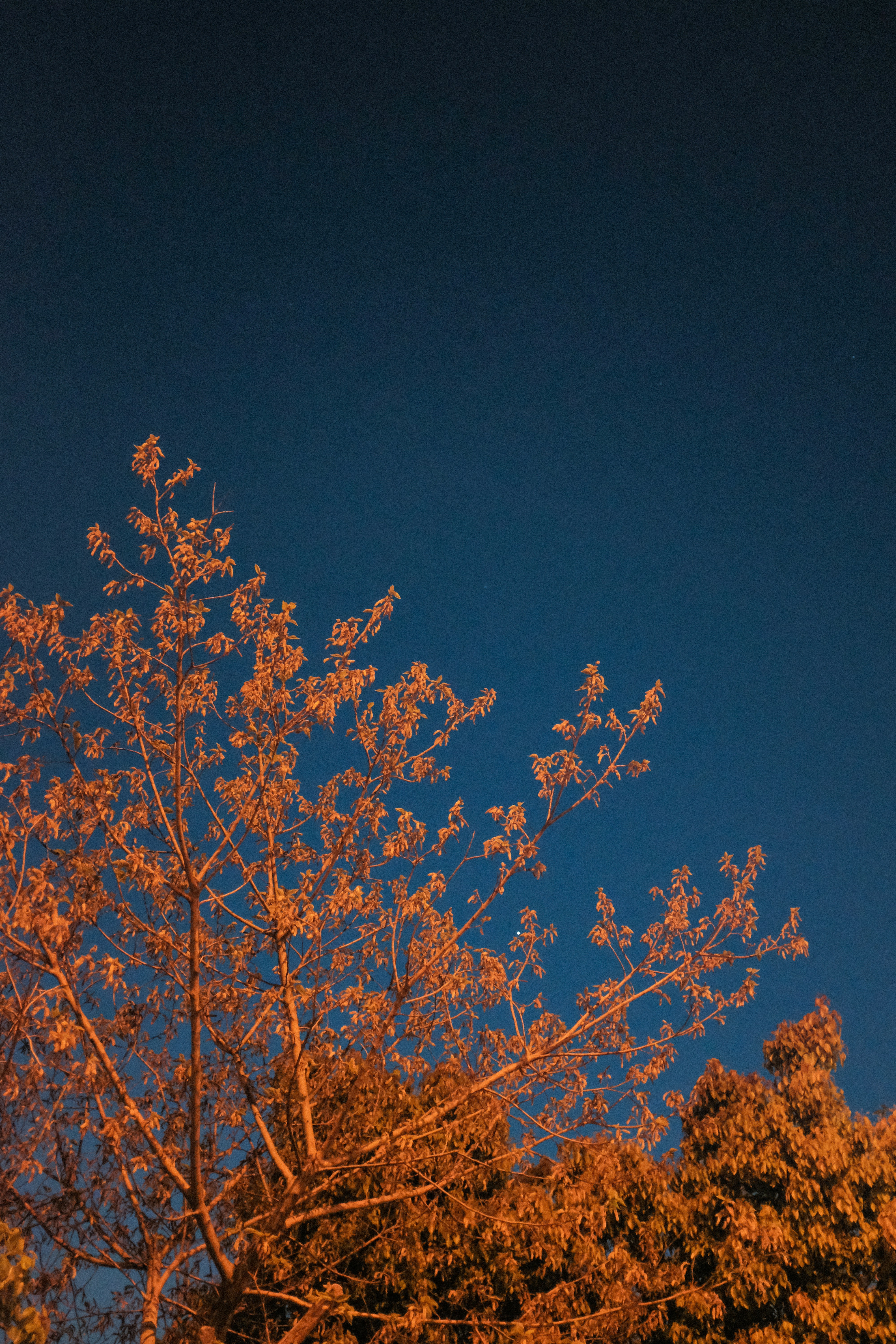 Photo by kennyzhang29