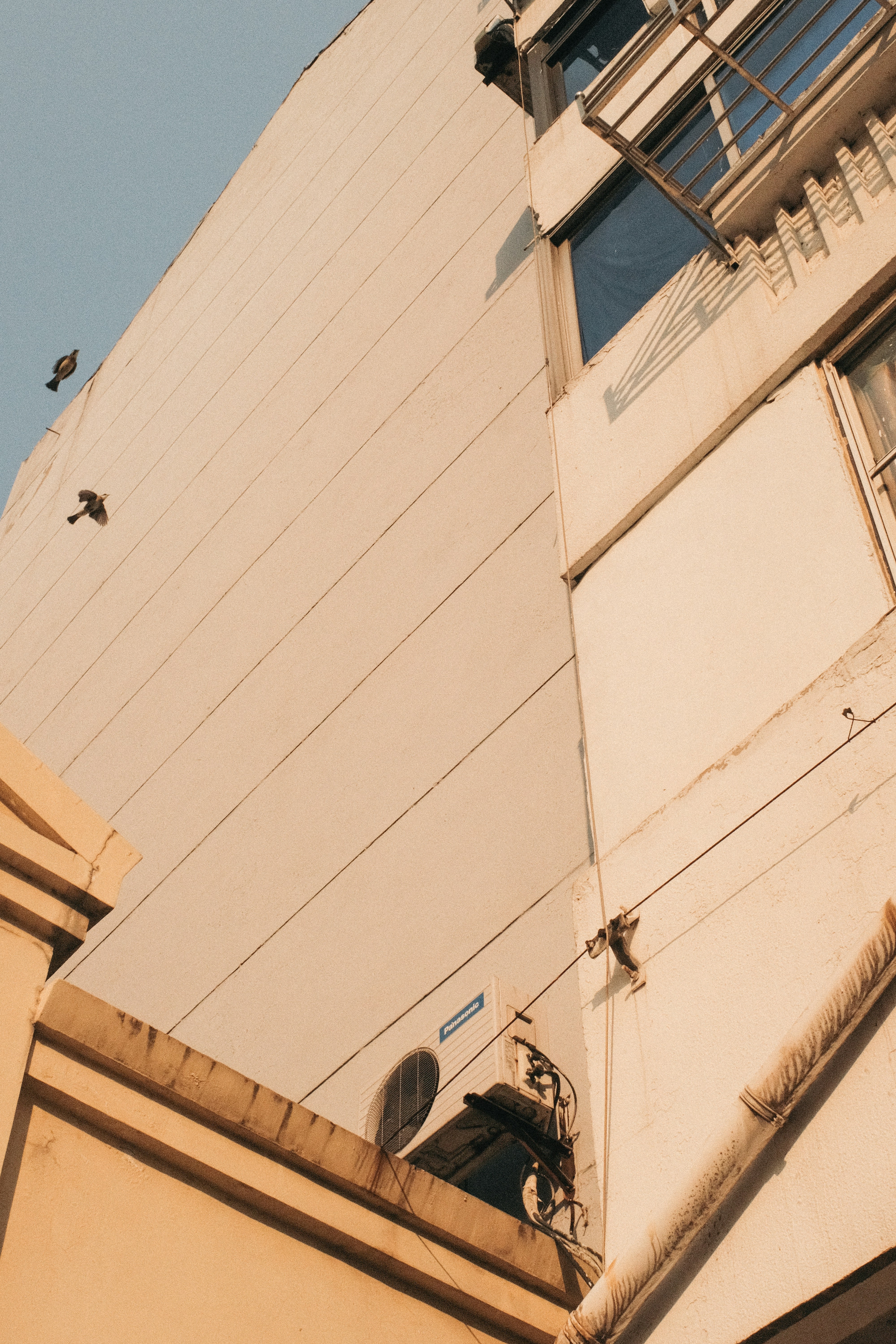 Photo by kennyzhang29