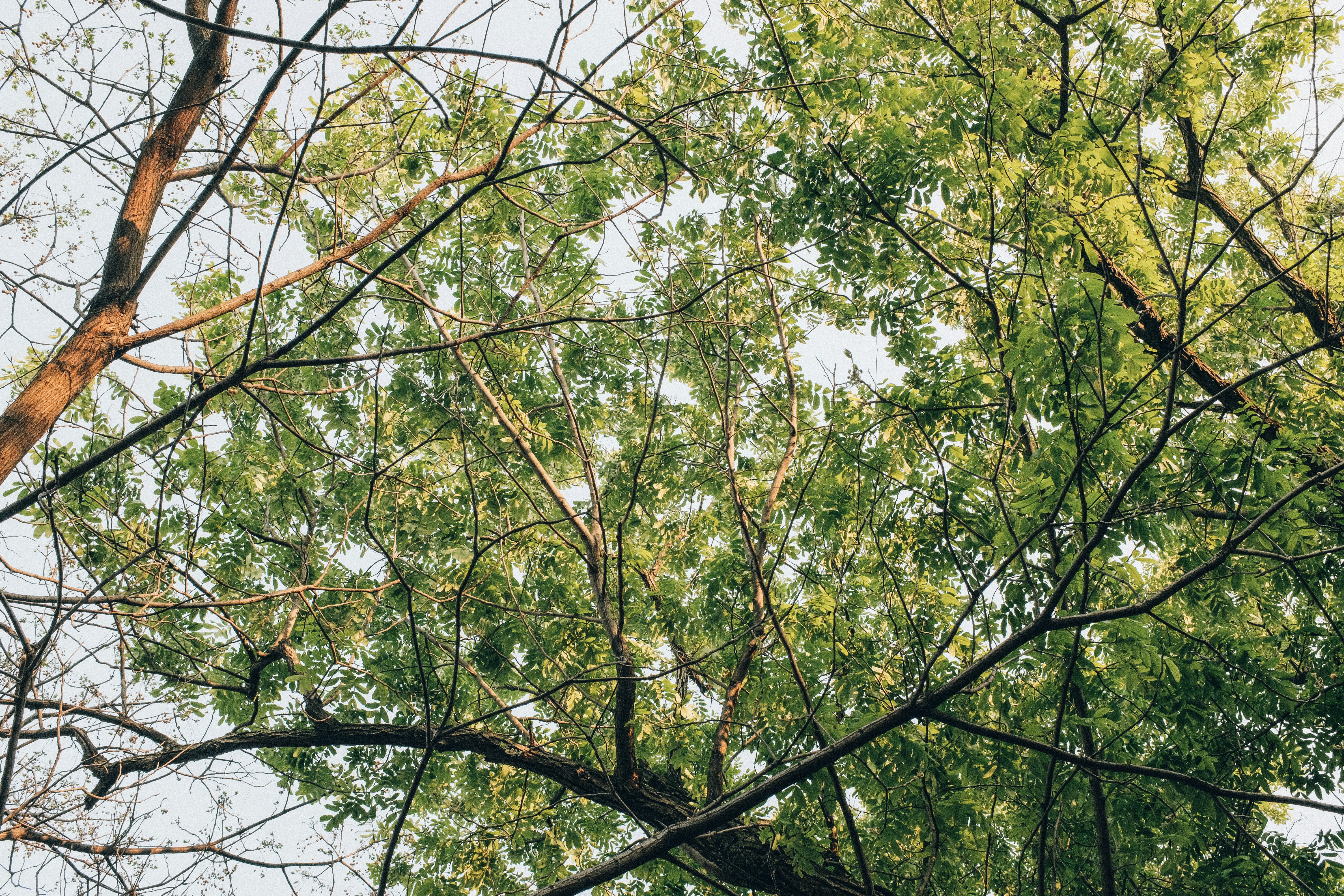 Photo by kennyzhang29