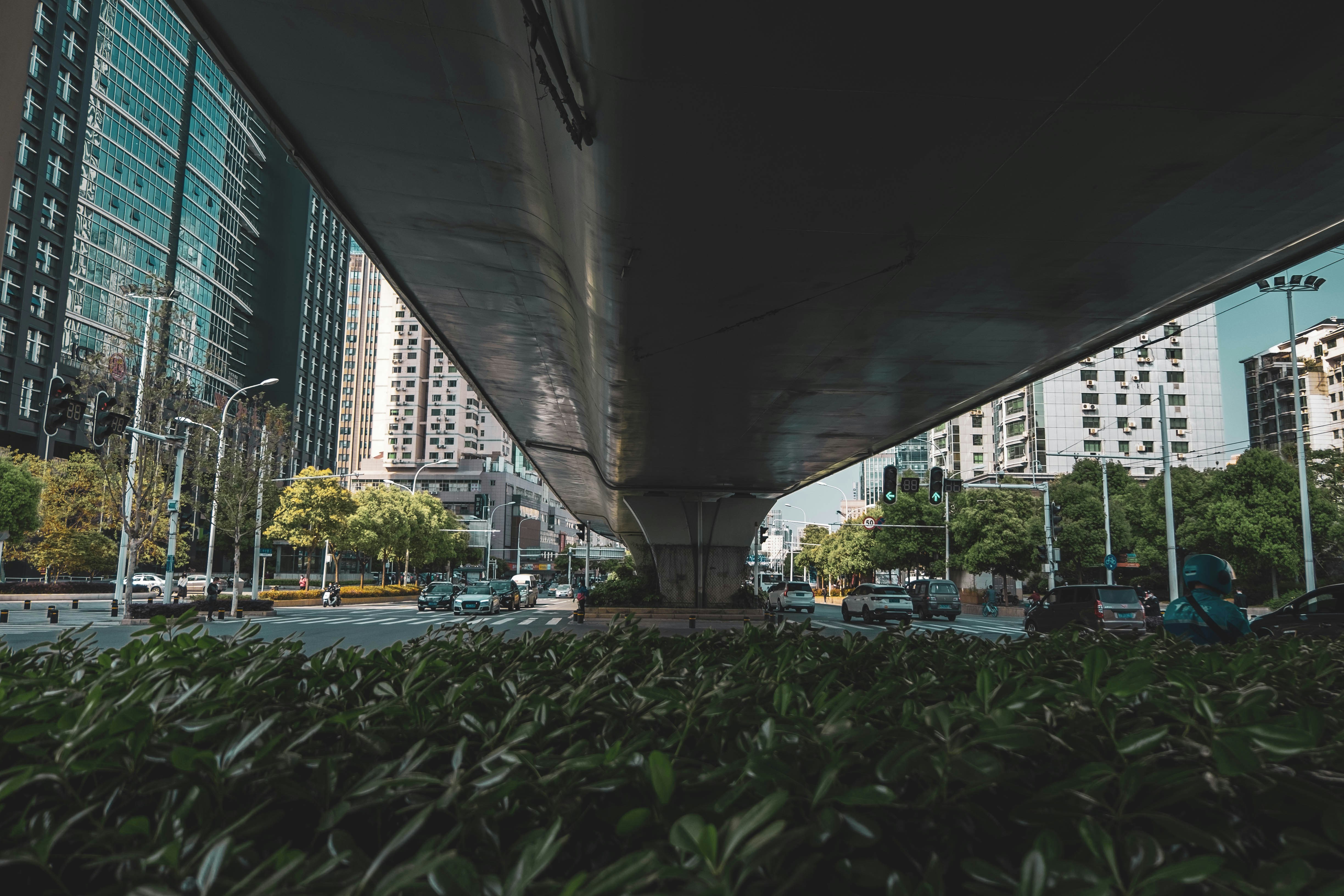 green plants near white concrete building during daytime